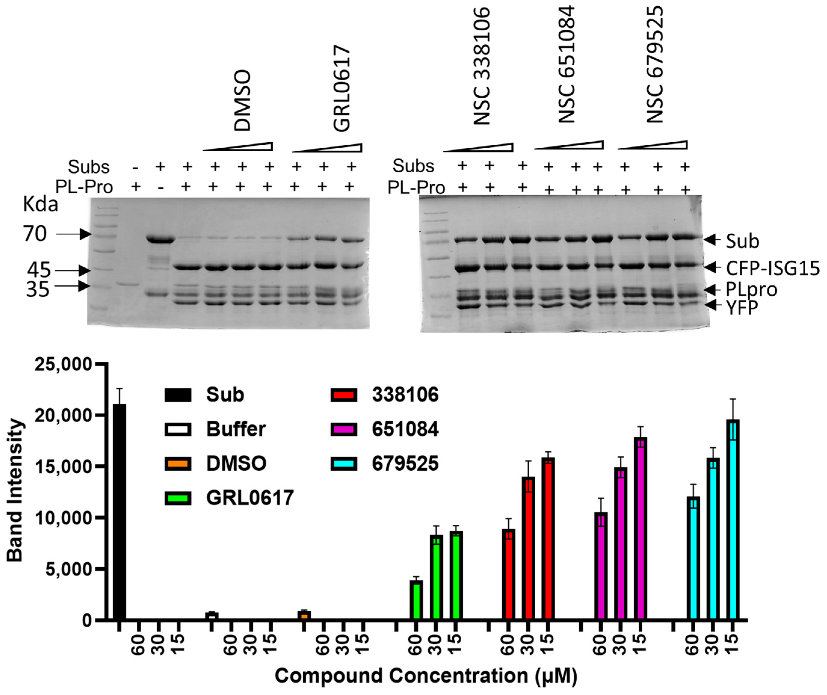 Viruses 16 01239 g006
