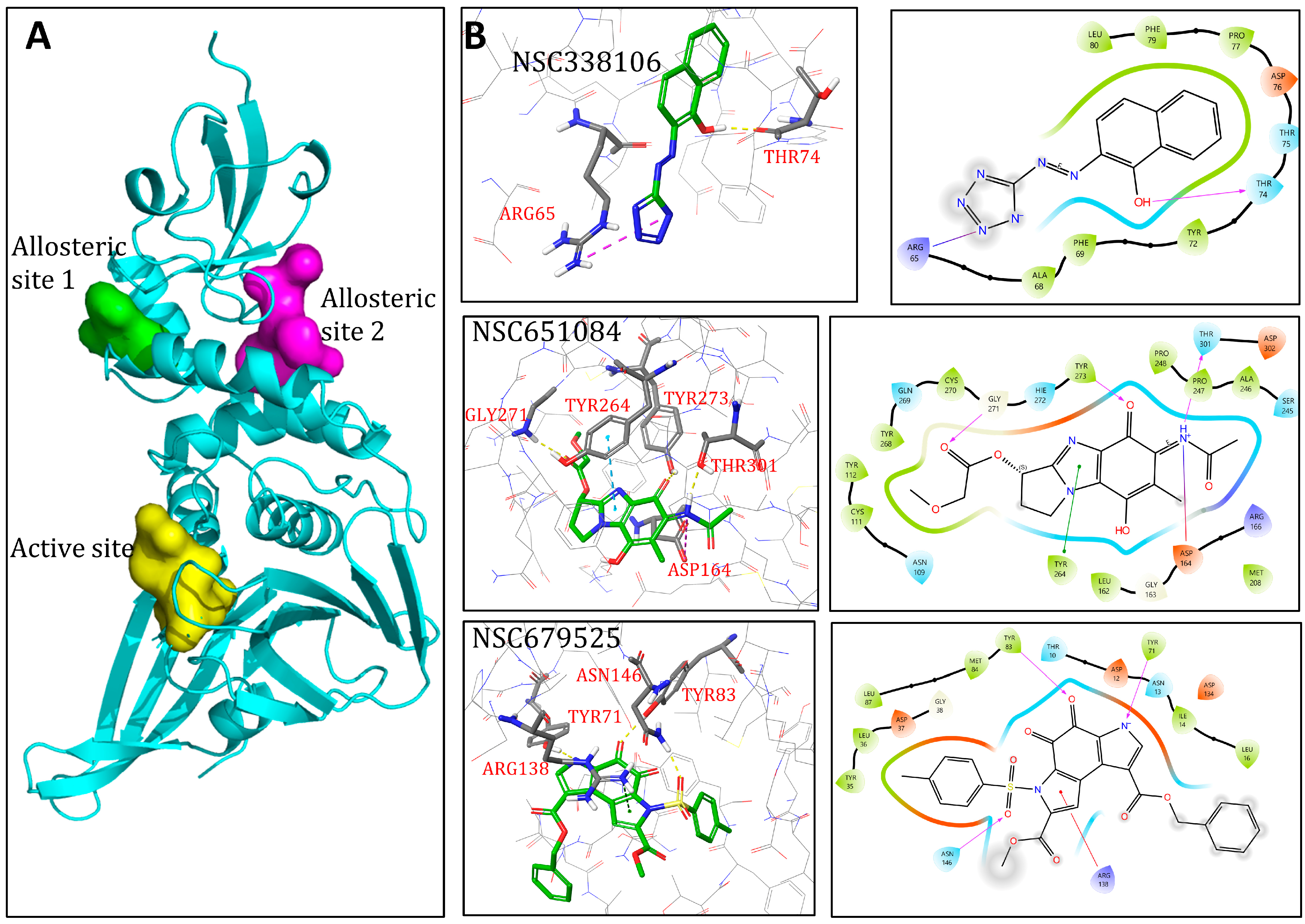 Viruses 16 01239 g009