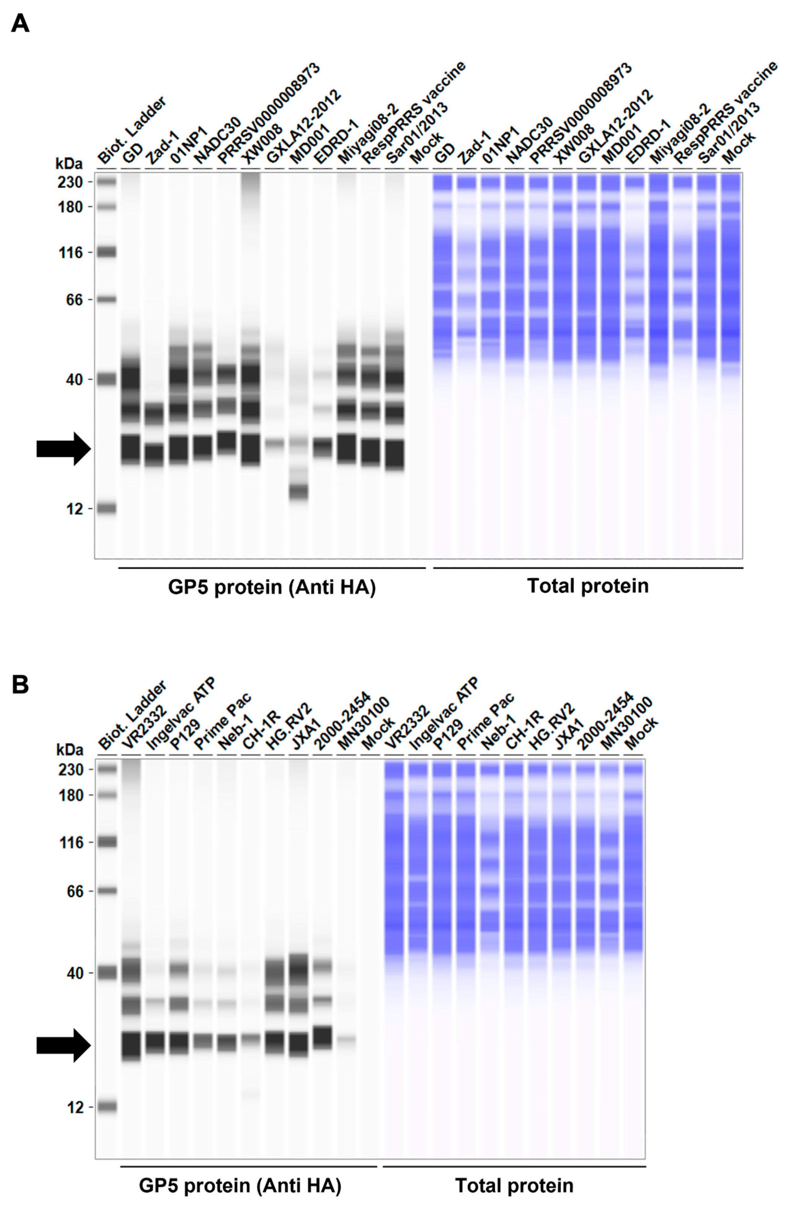 Viruses 16 01240 g002a