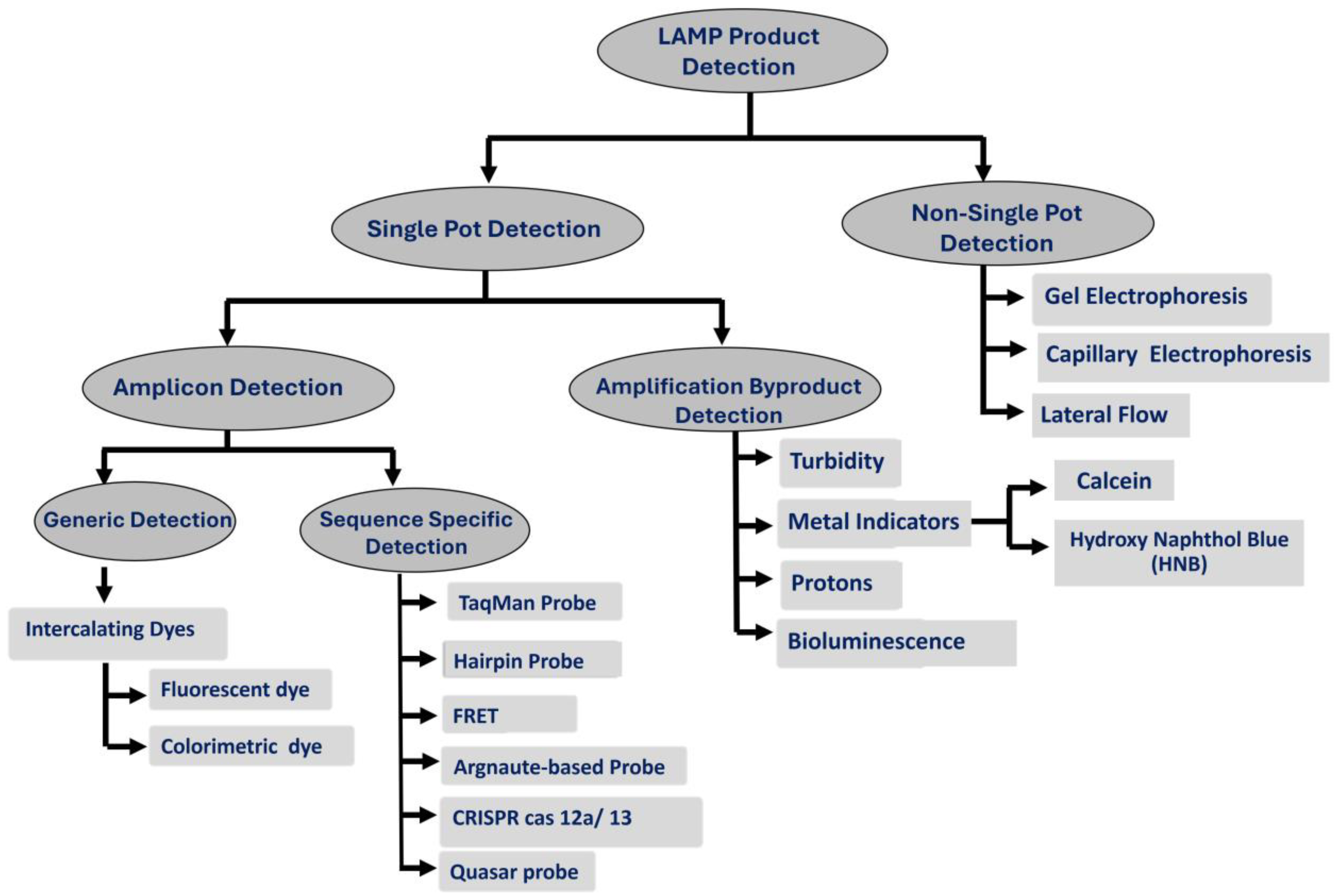 Viruses 16 01248 g003 Viruses 16 01248 g003