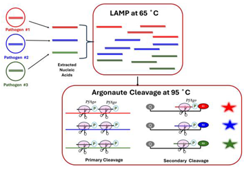 Viruses 16 01248 i005 Viruses 16 01248 i005