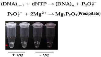 Viruses 16 01248 i008 Viruses 16 01248 i008