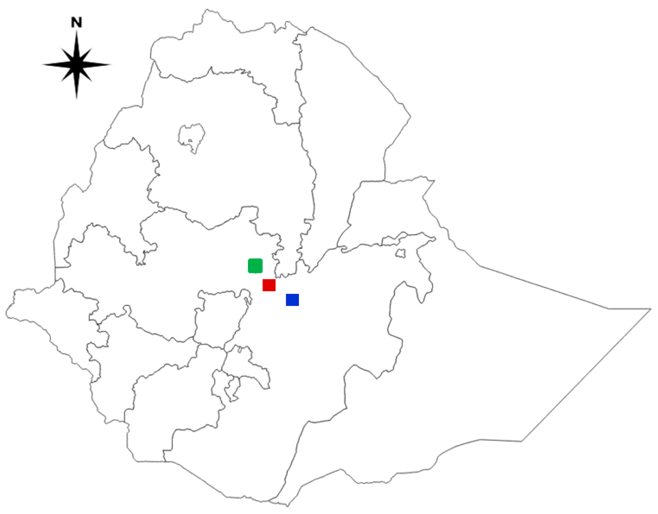 Viruses 16 01249 g001