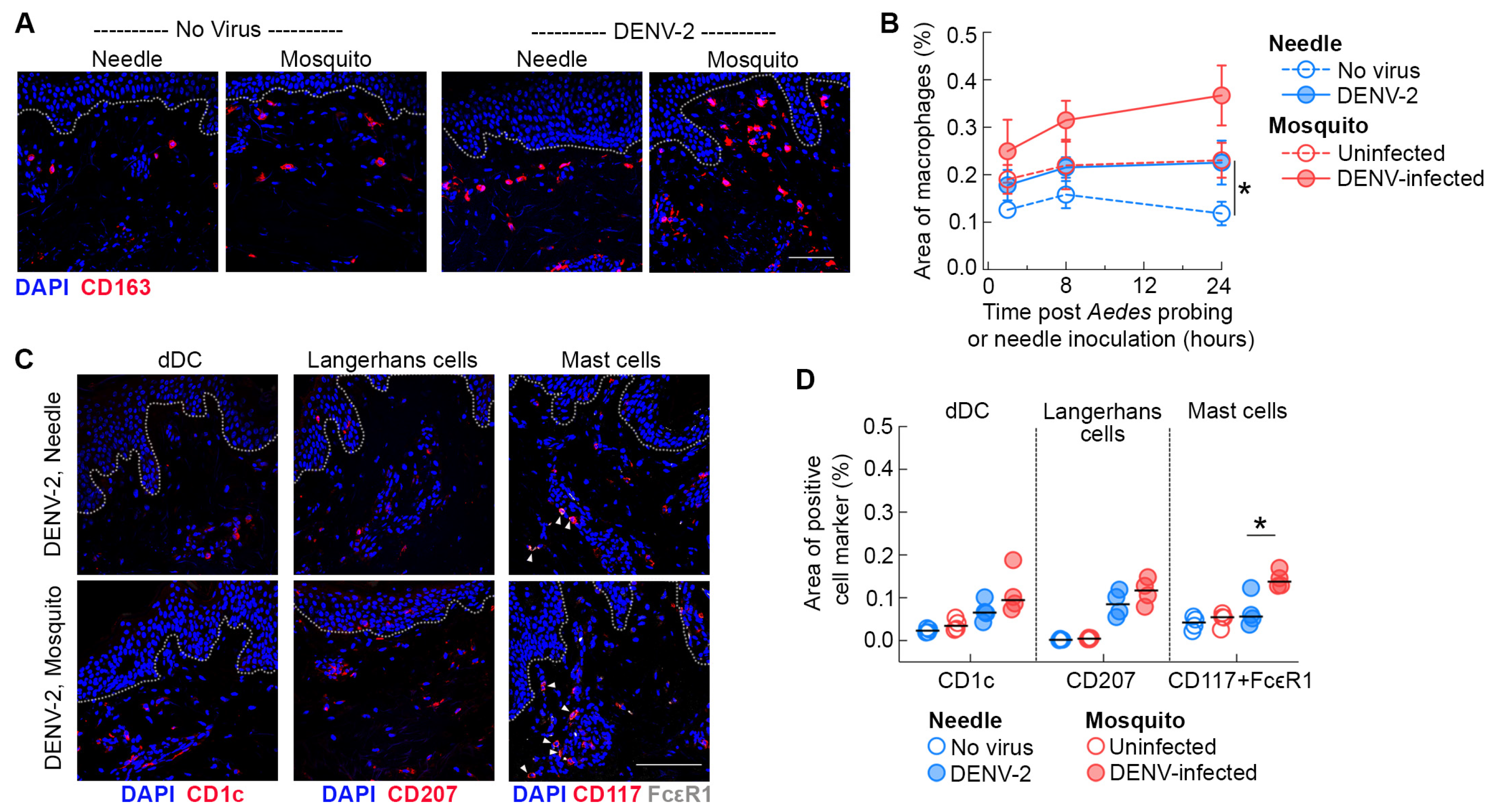 Viruses 16 01253 g002