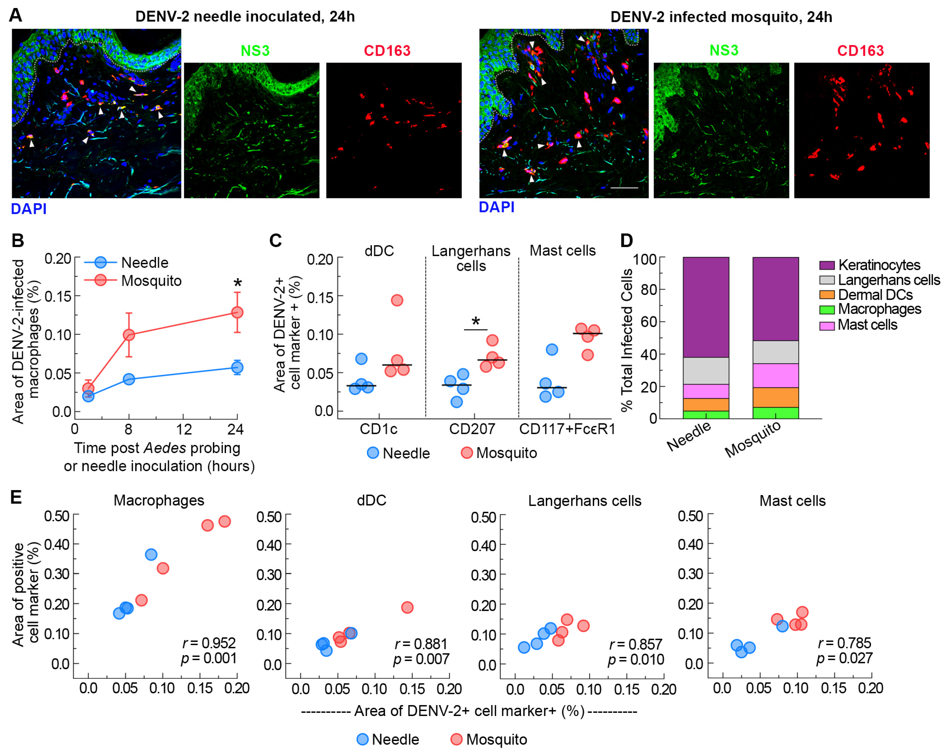 Viruses 16 01253 g003