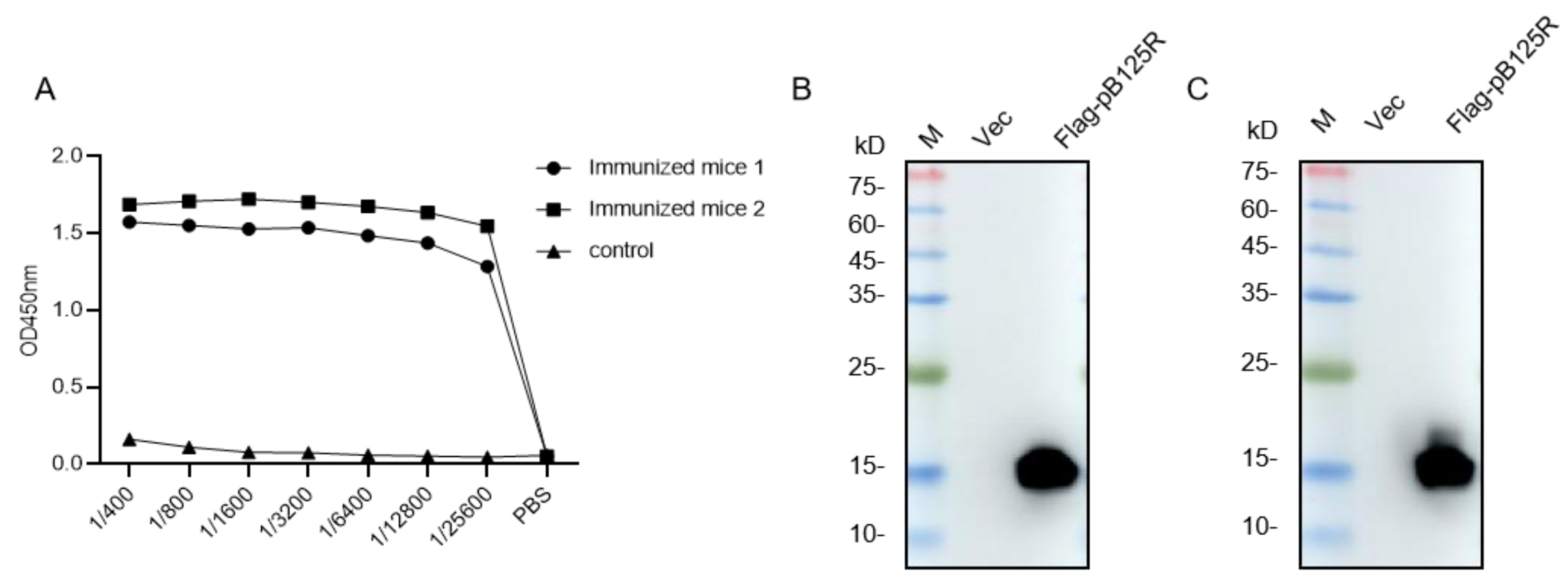 Viruses 16 01257 g002