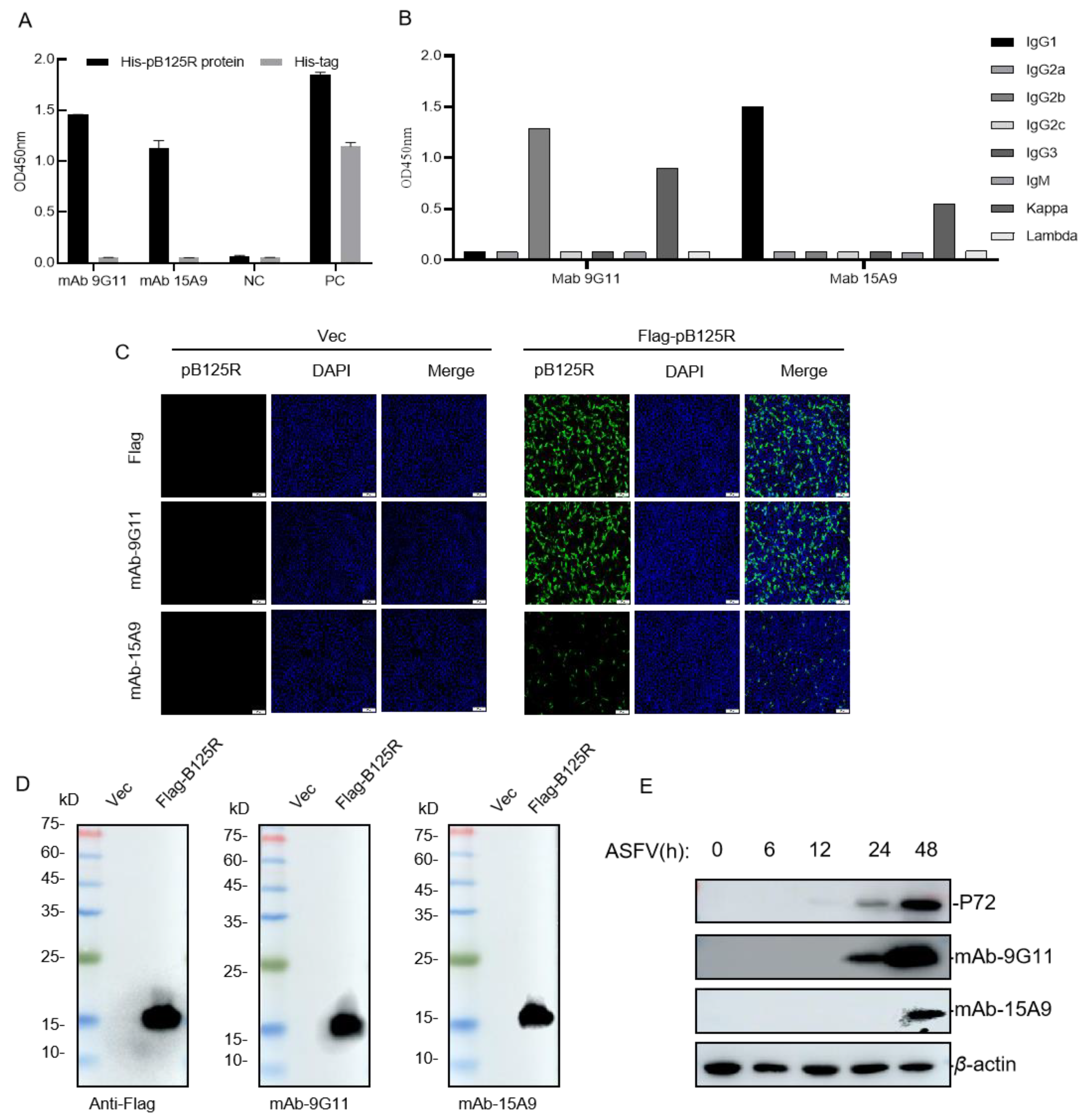 Viruses 16 01257 g003