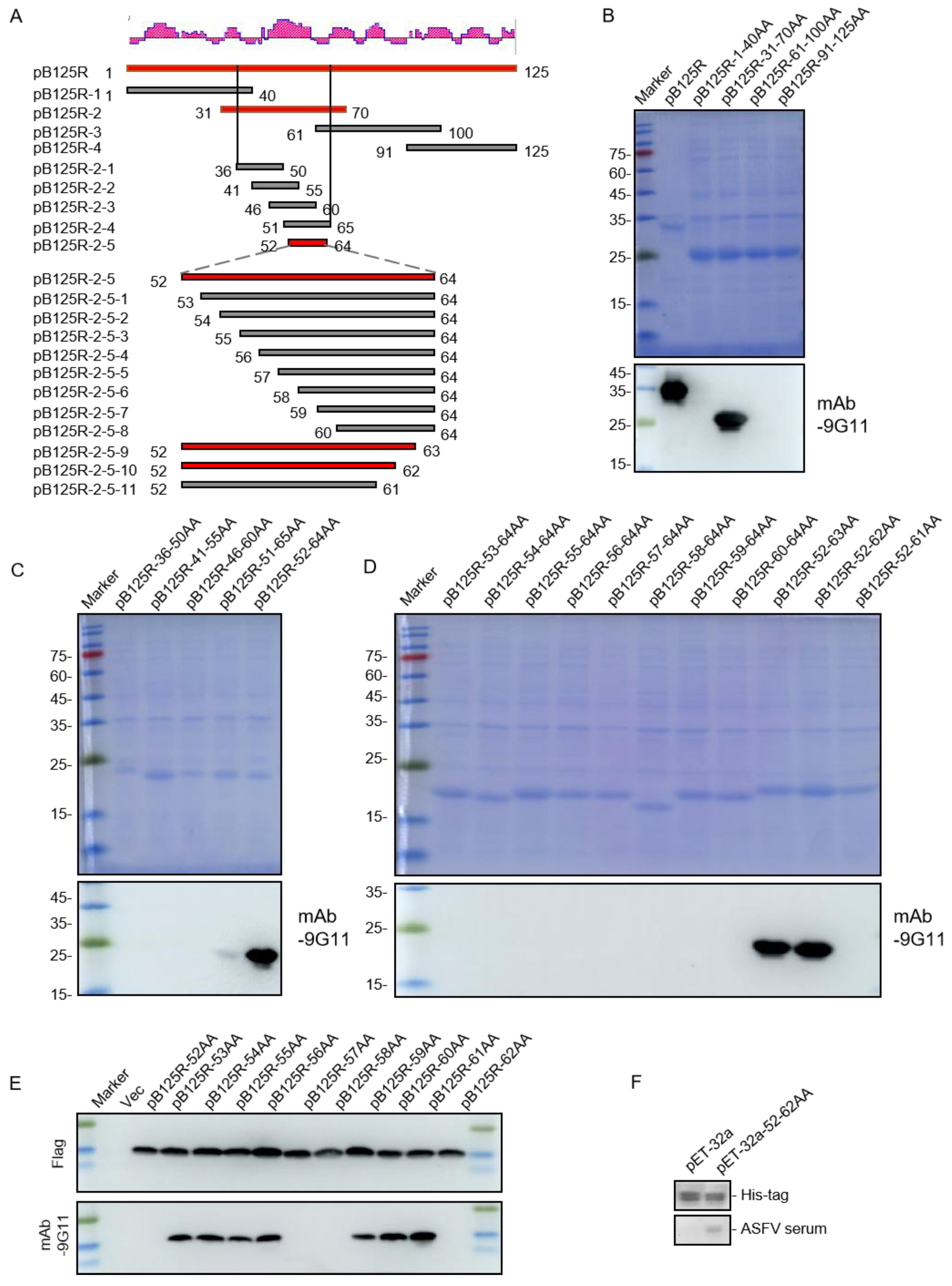 Viruses 16 01257 g004