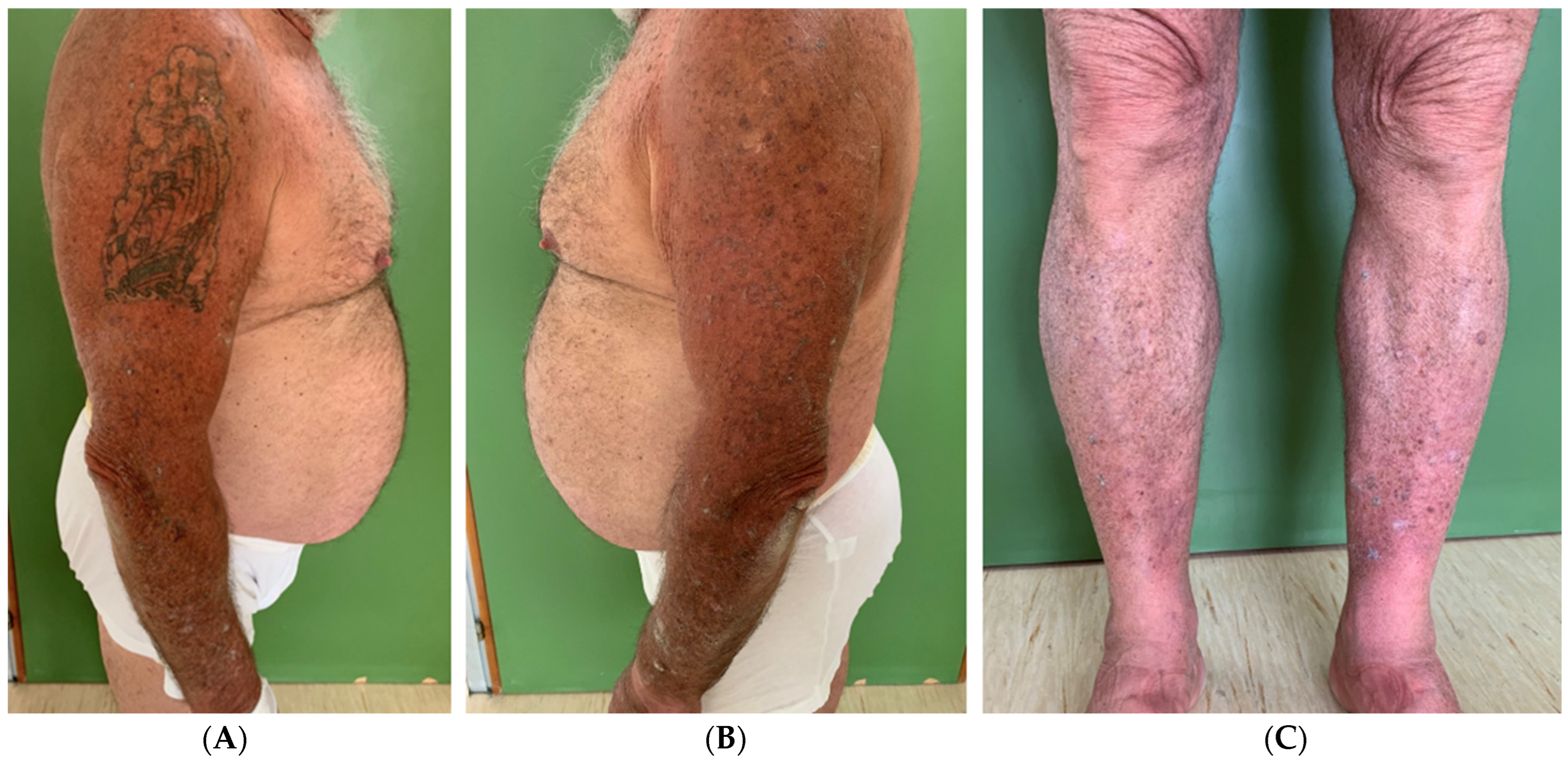 Viruses 16 01260 g003