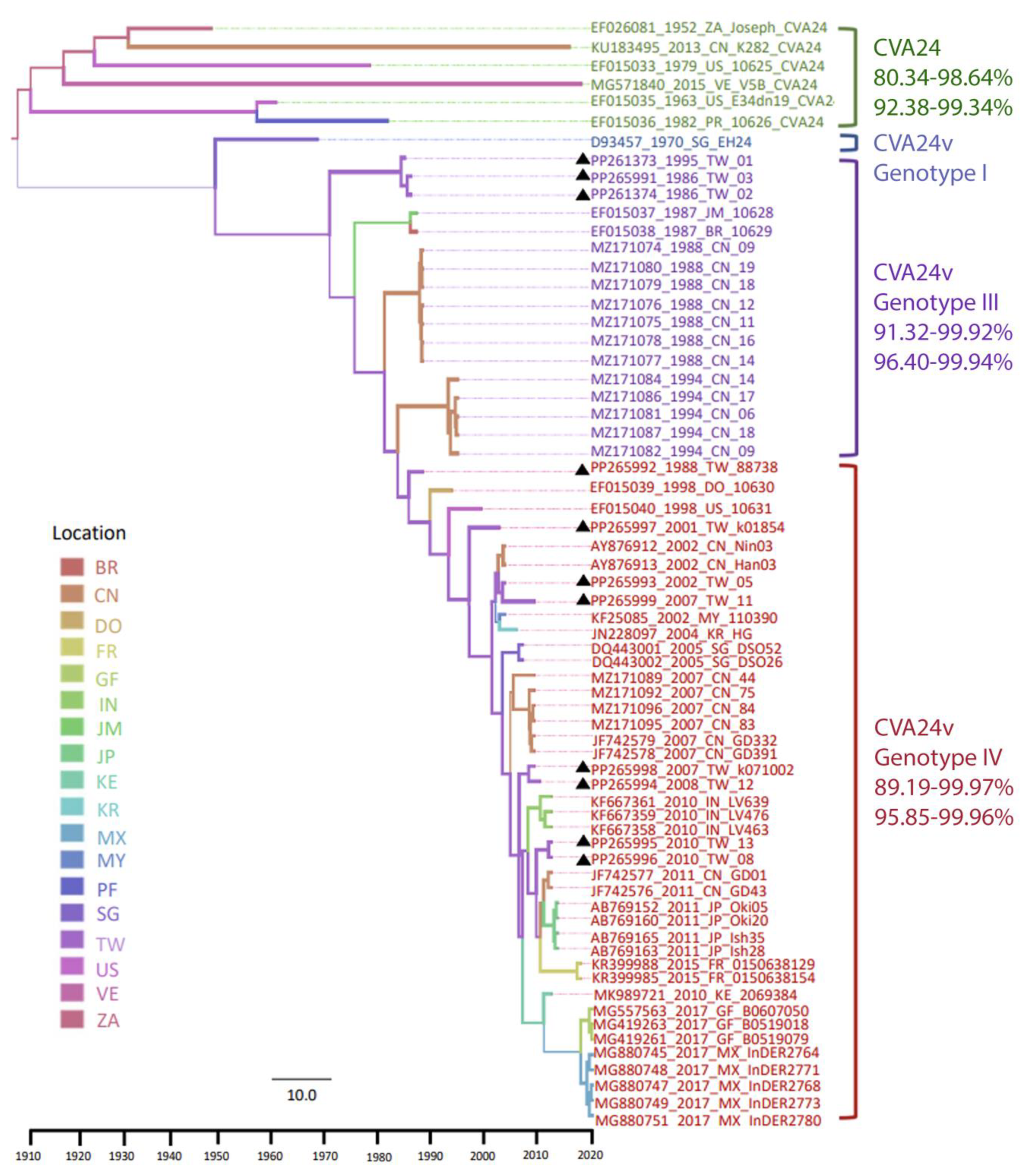 Viruses 16 01267 g001