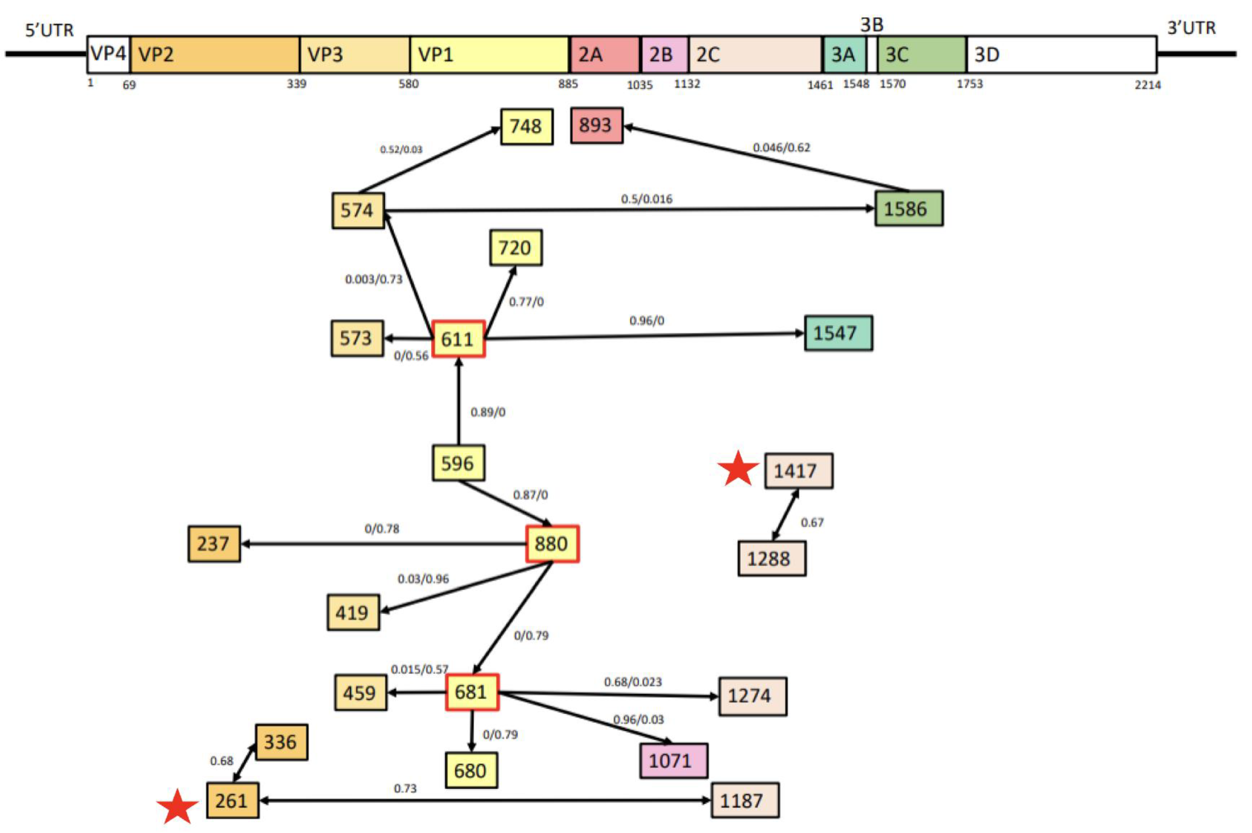 Viruses 16 01267 g004