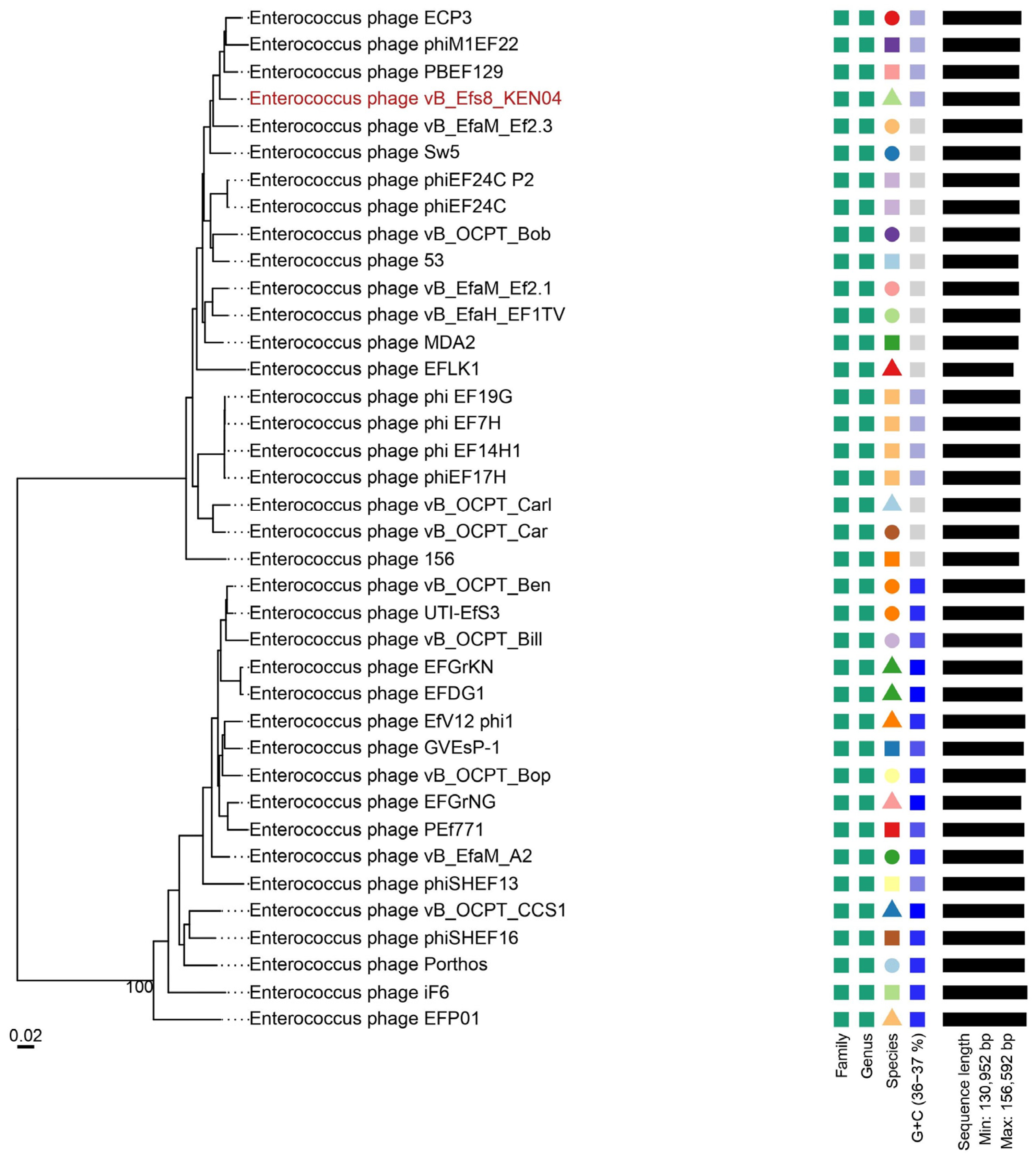 Viruses 16 01275 g009