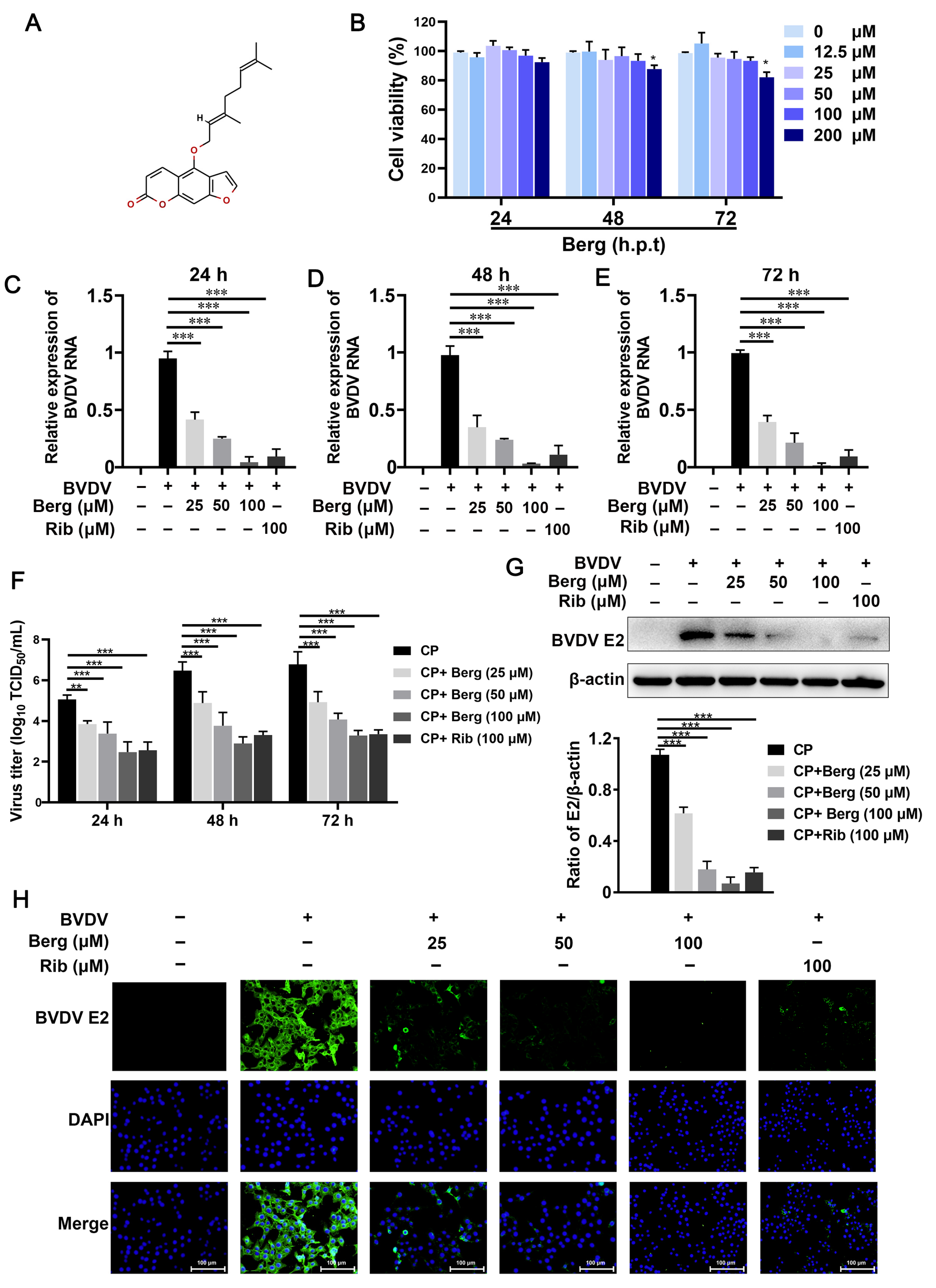 Viruses 16 01287 g001