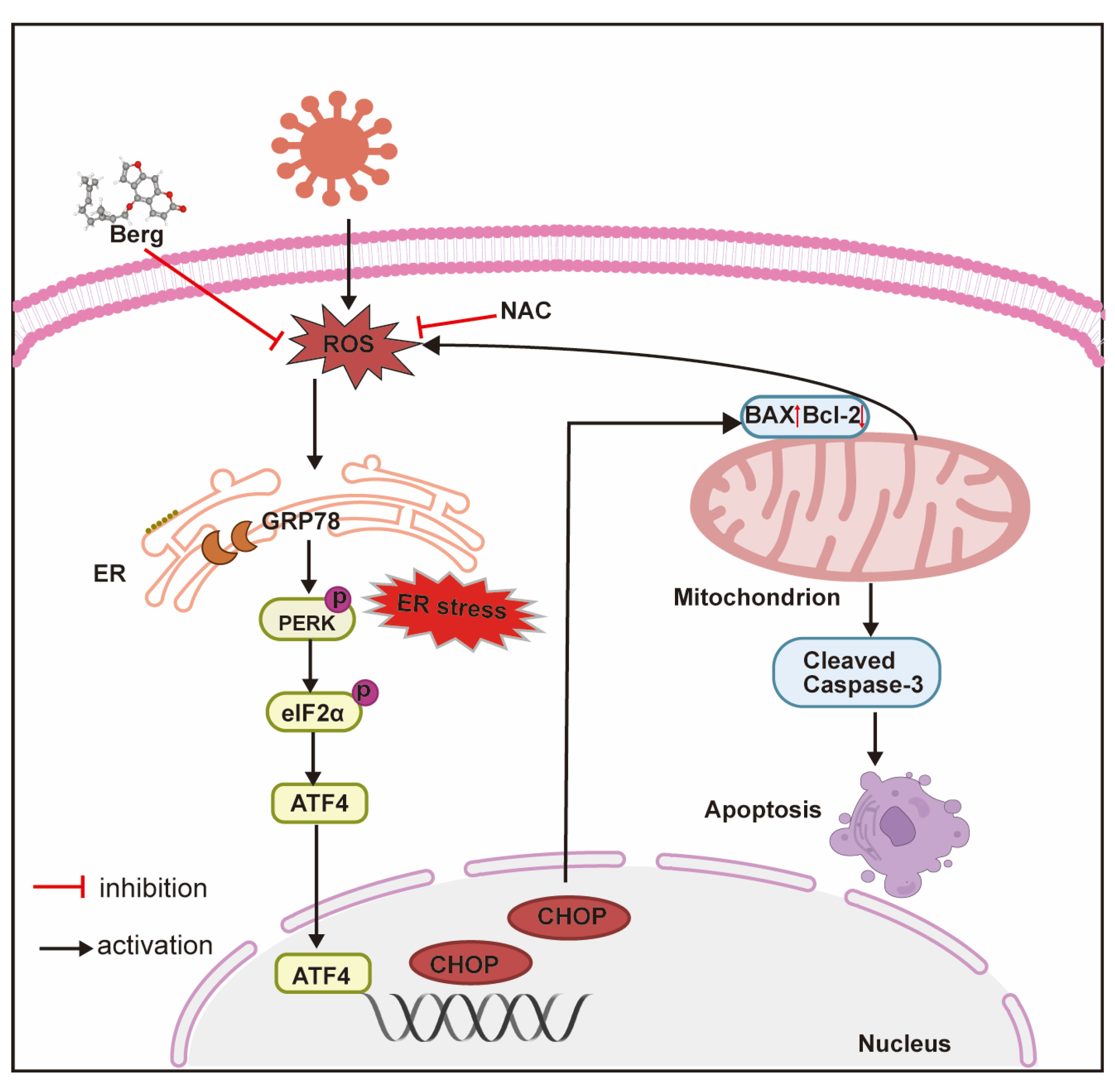 Viruses 16 01287 g009