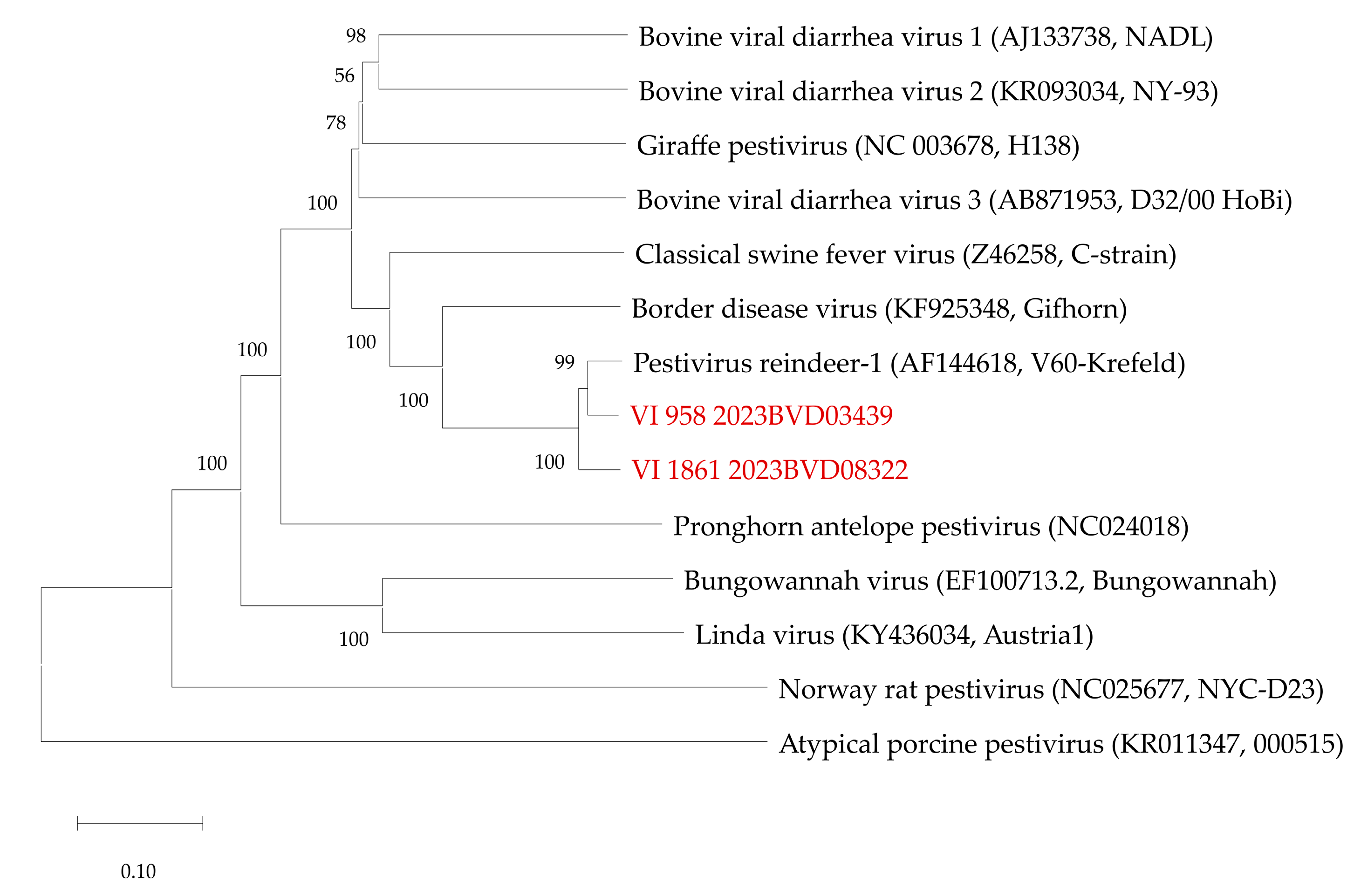 Viruses 16 01301 g002
