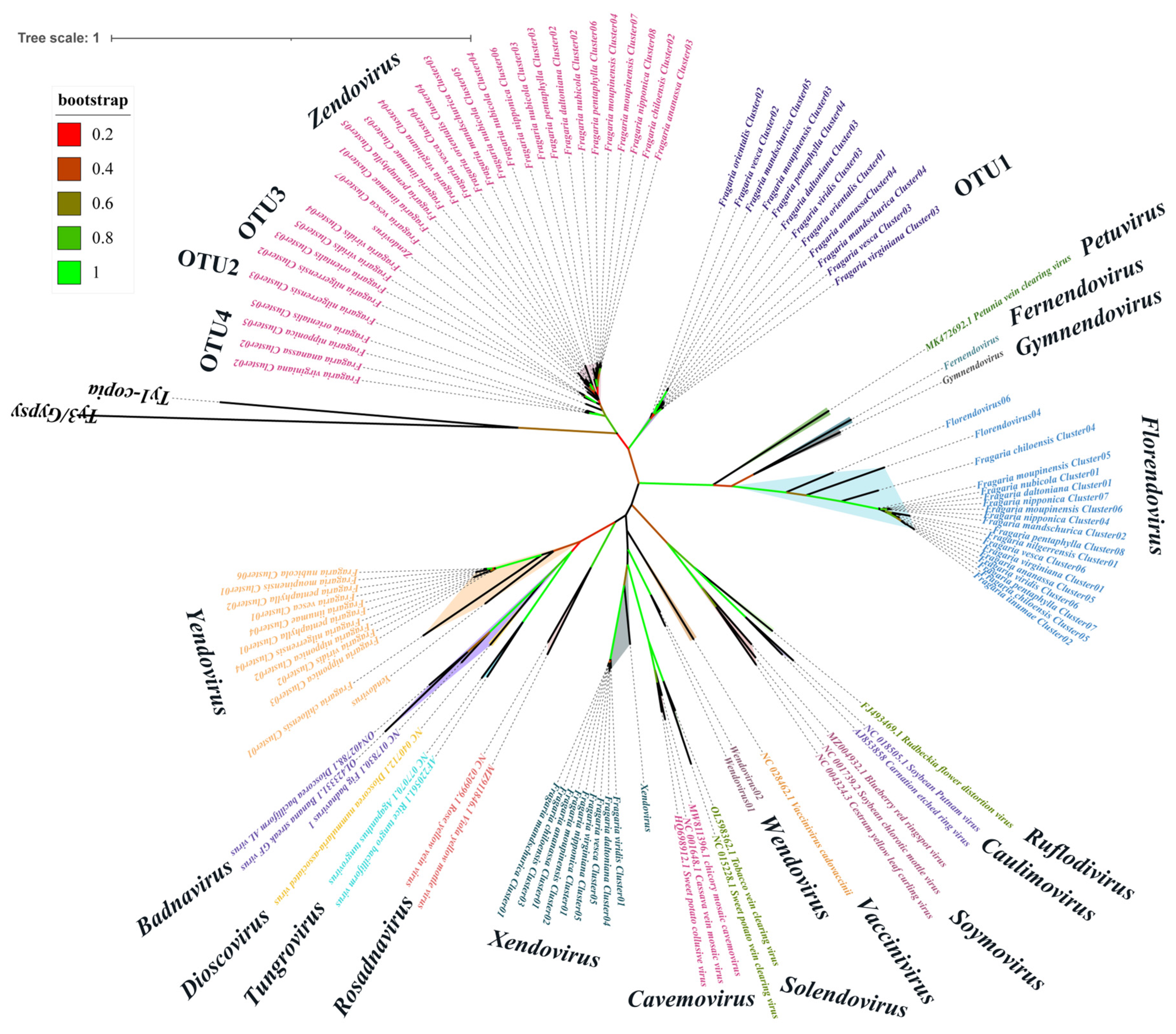 Viruses 16 01306 g001