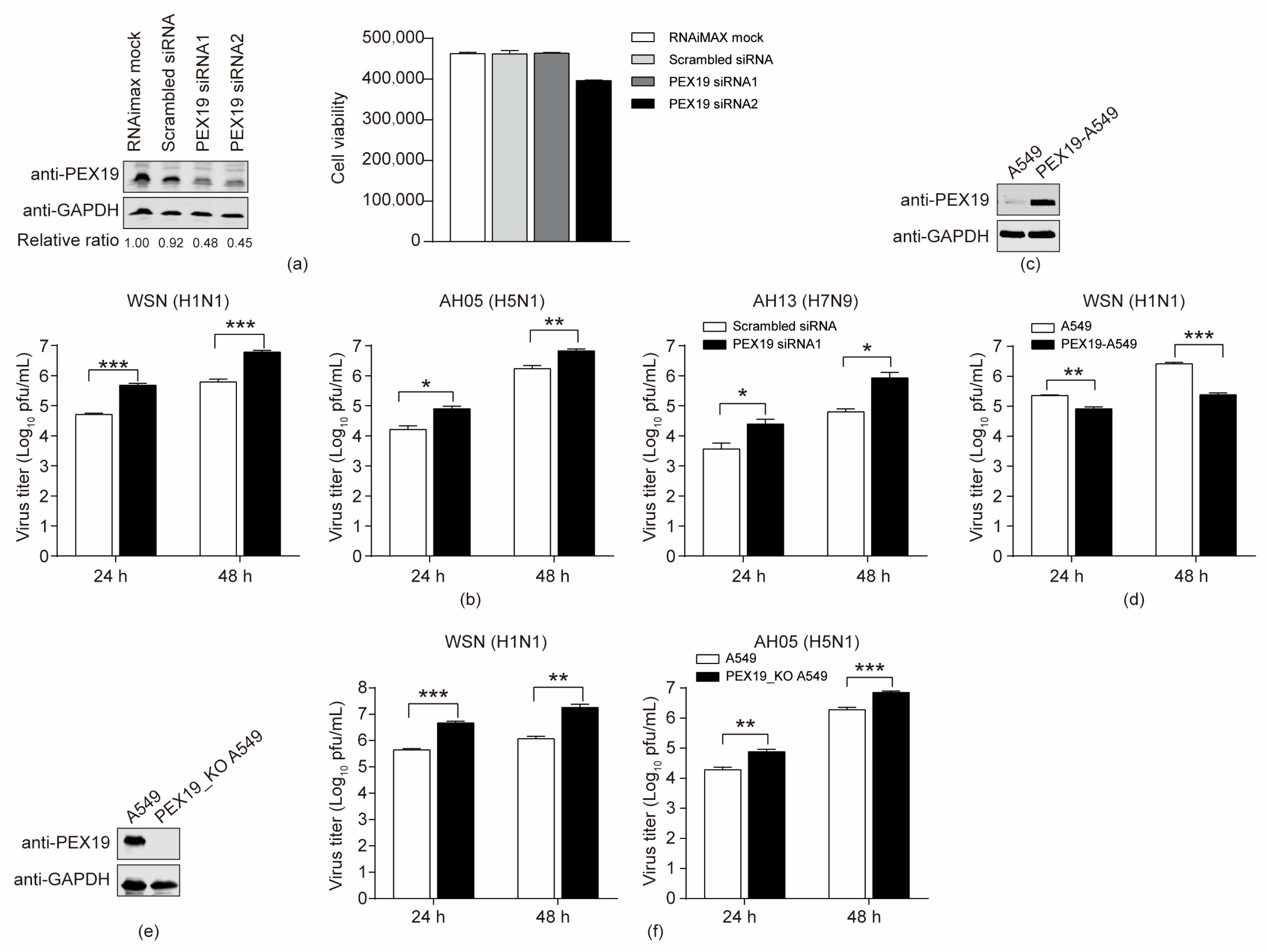 Viruses 16 01309 g004