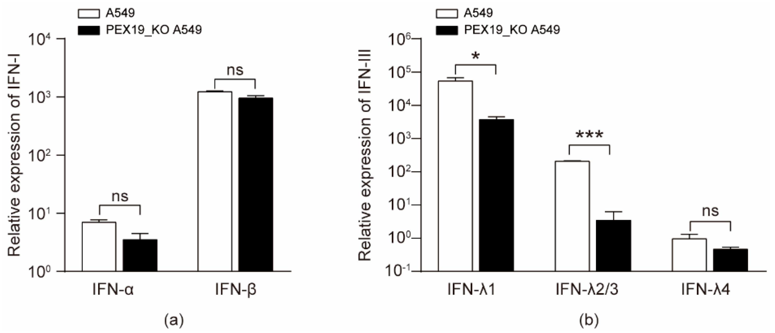 Viruses 16 01309 g007