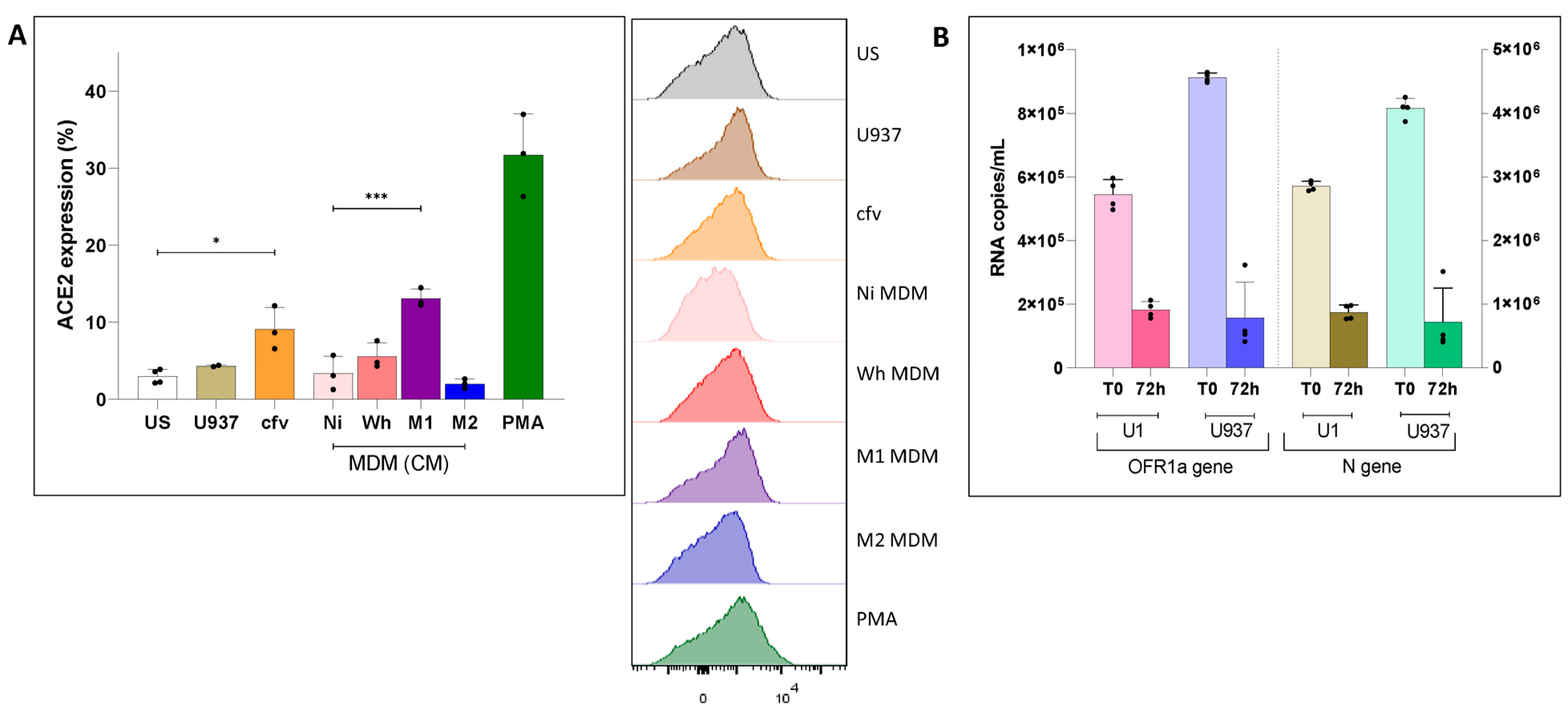 Viruses 16 01310 g001