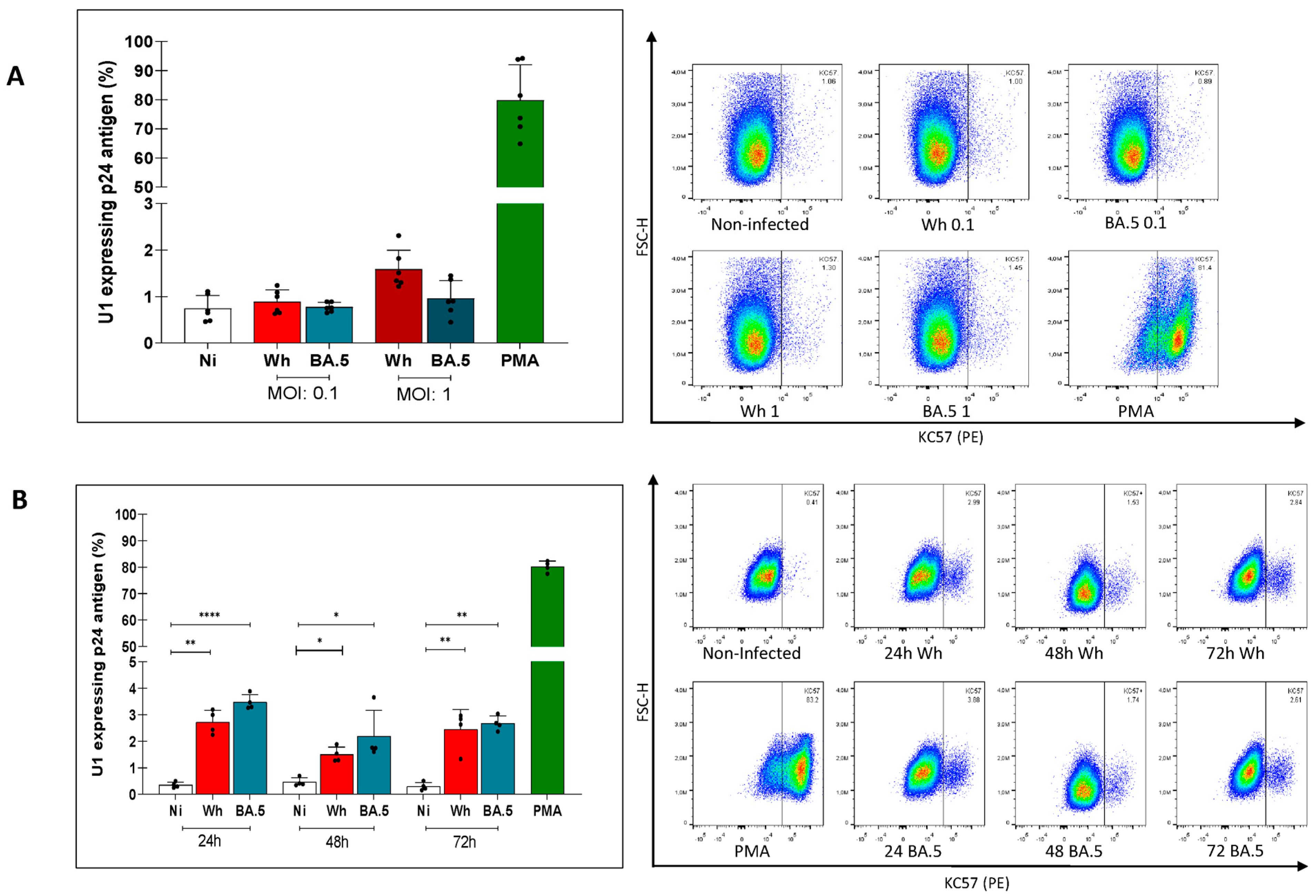 Viruses 16 01310 g002