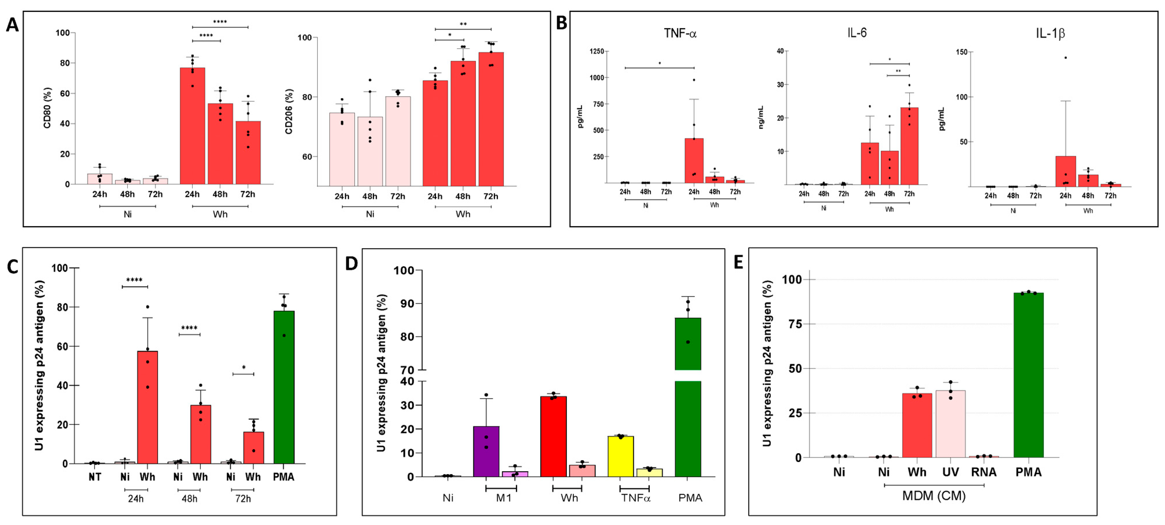 Viruses 16 01310 g005