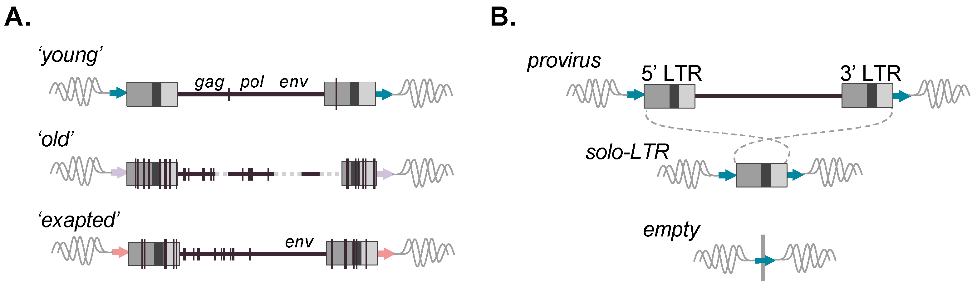 Viruses 16 01312 g002