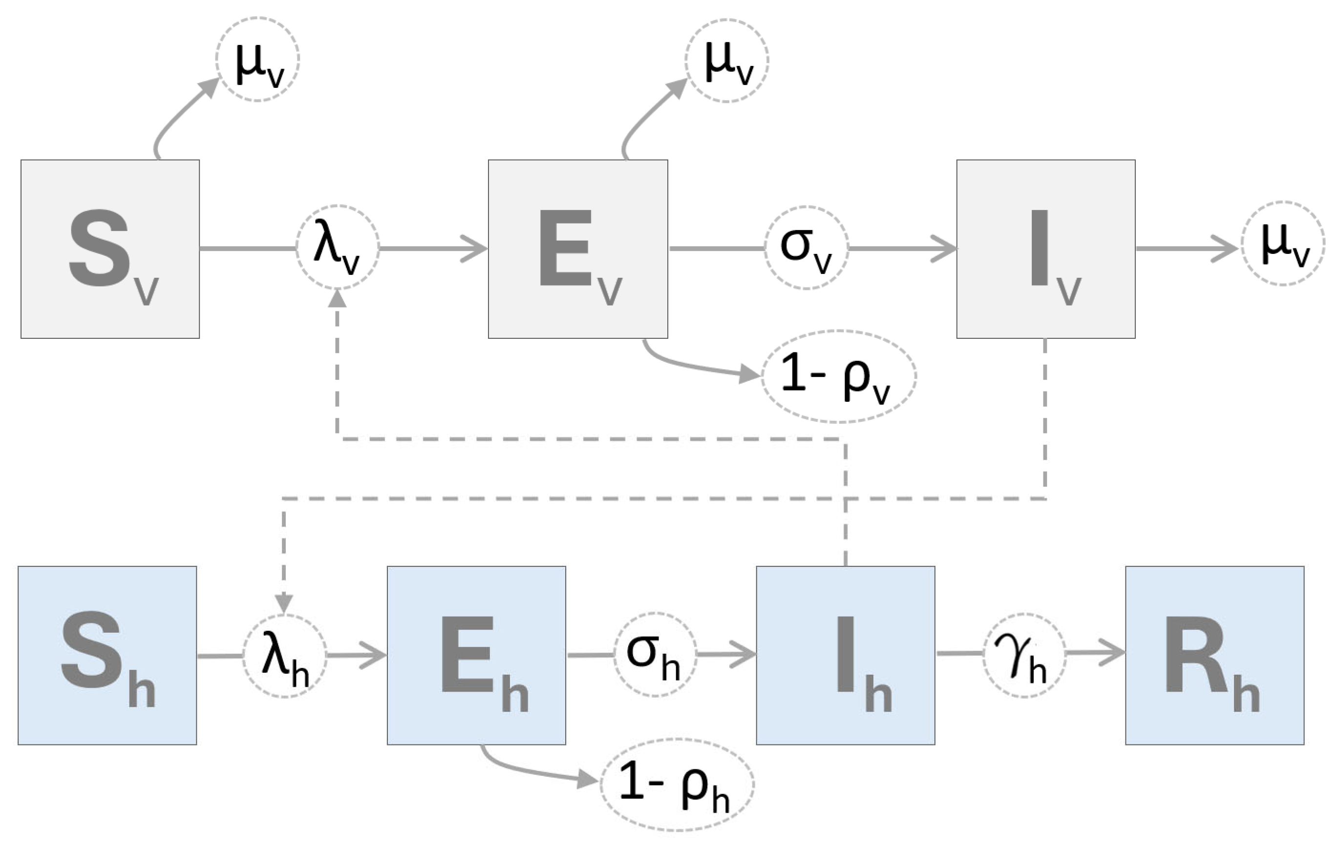 Viruses 16 01315 g001