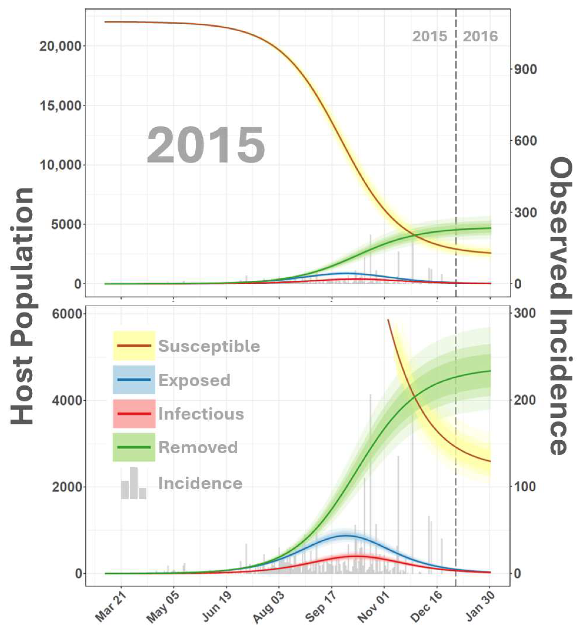 Viruses 16 01315 g003