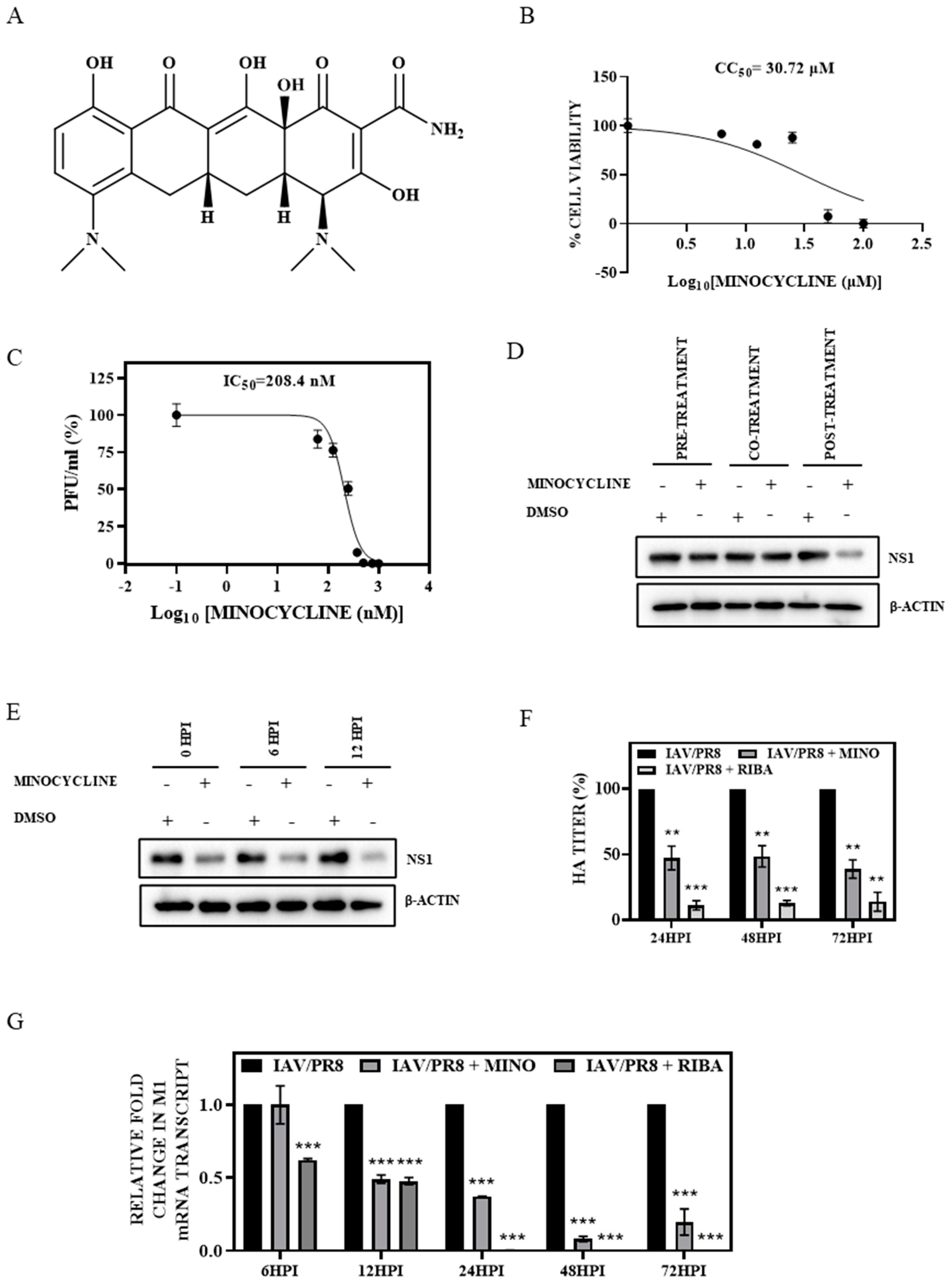 Viruses 16 01317 g001
