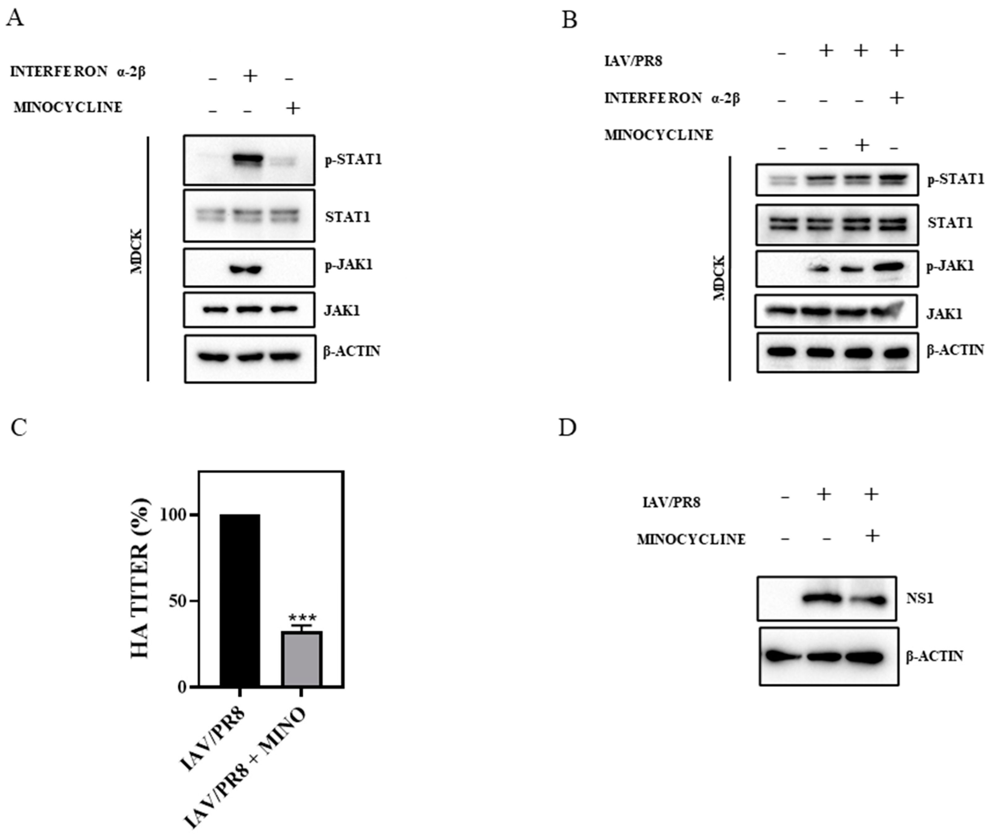 Viruses 16 01317 g002