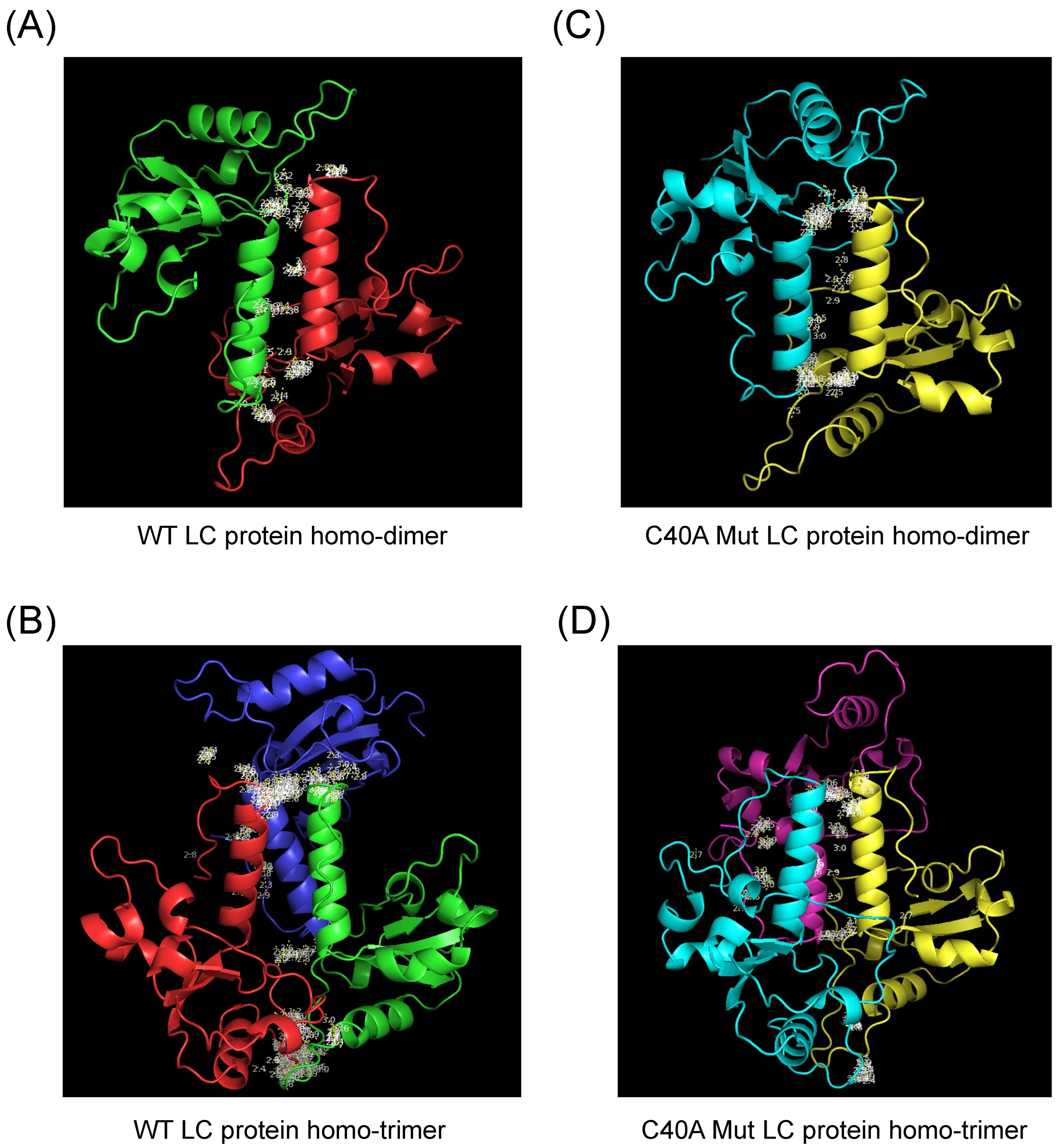 Viruses 16 01319 g003