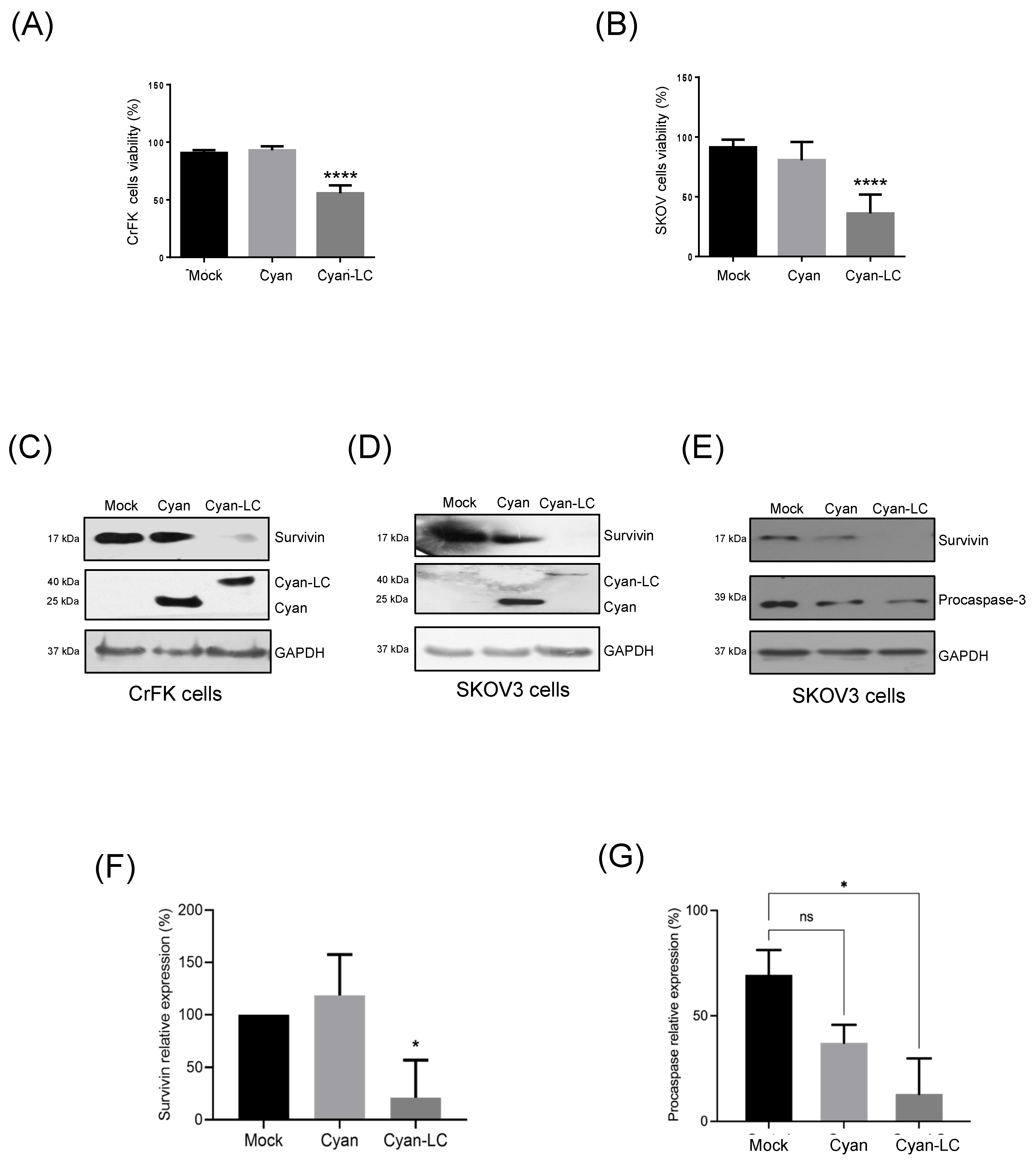Viruses 16 01319 g007