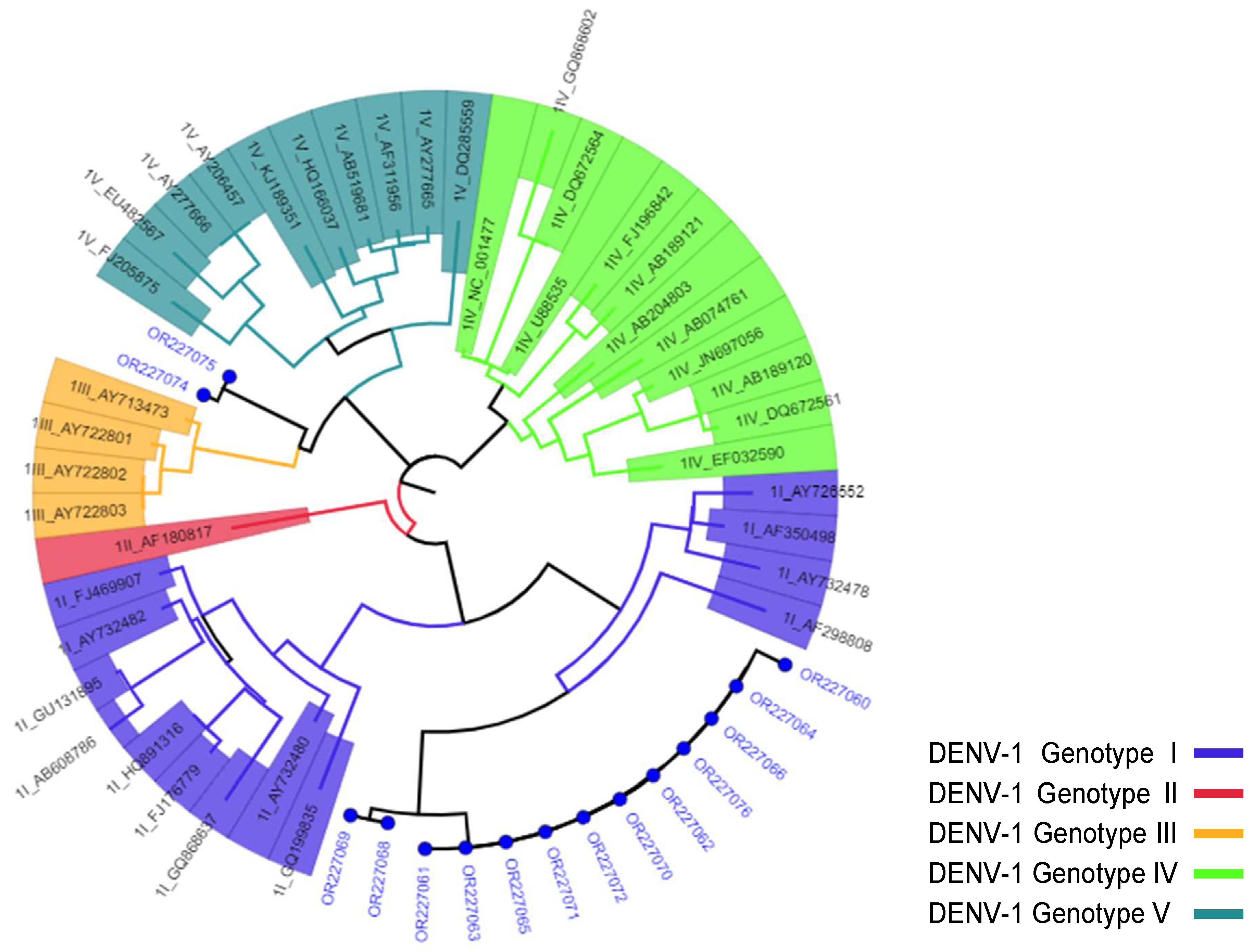 Viruses 16 01334 g002