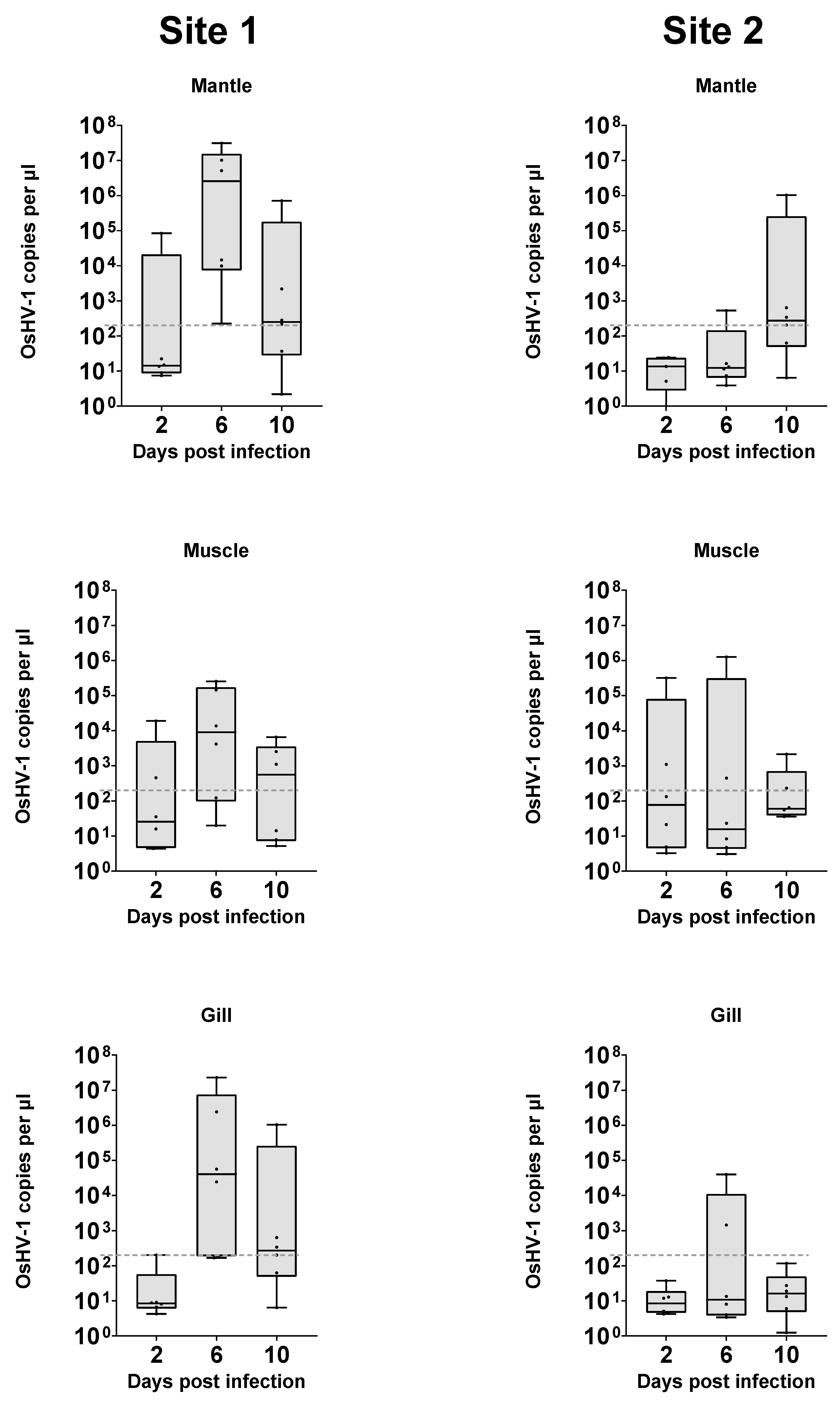Viruses 16 01343 g004