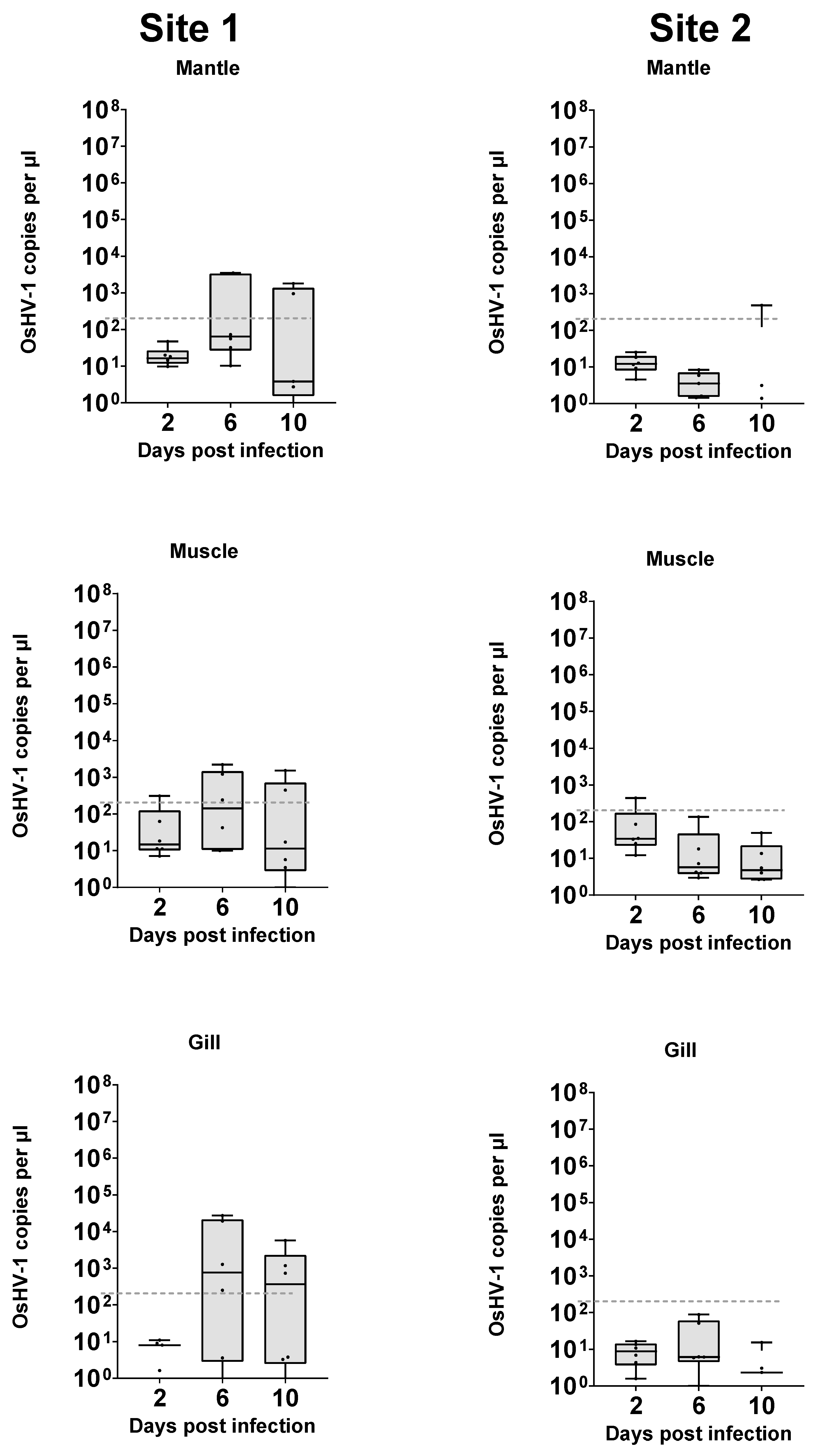 Viruses 16 01343 g005