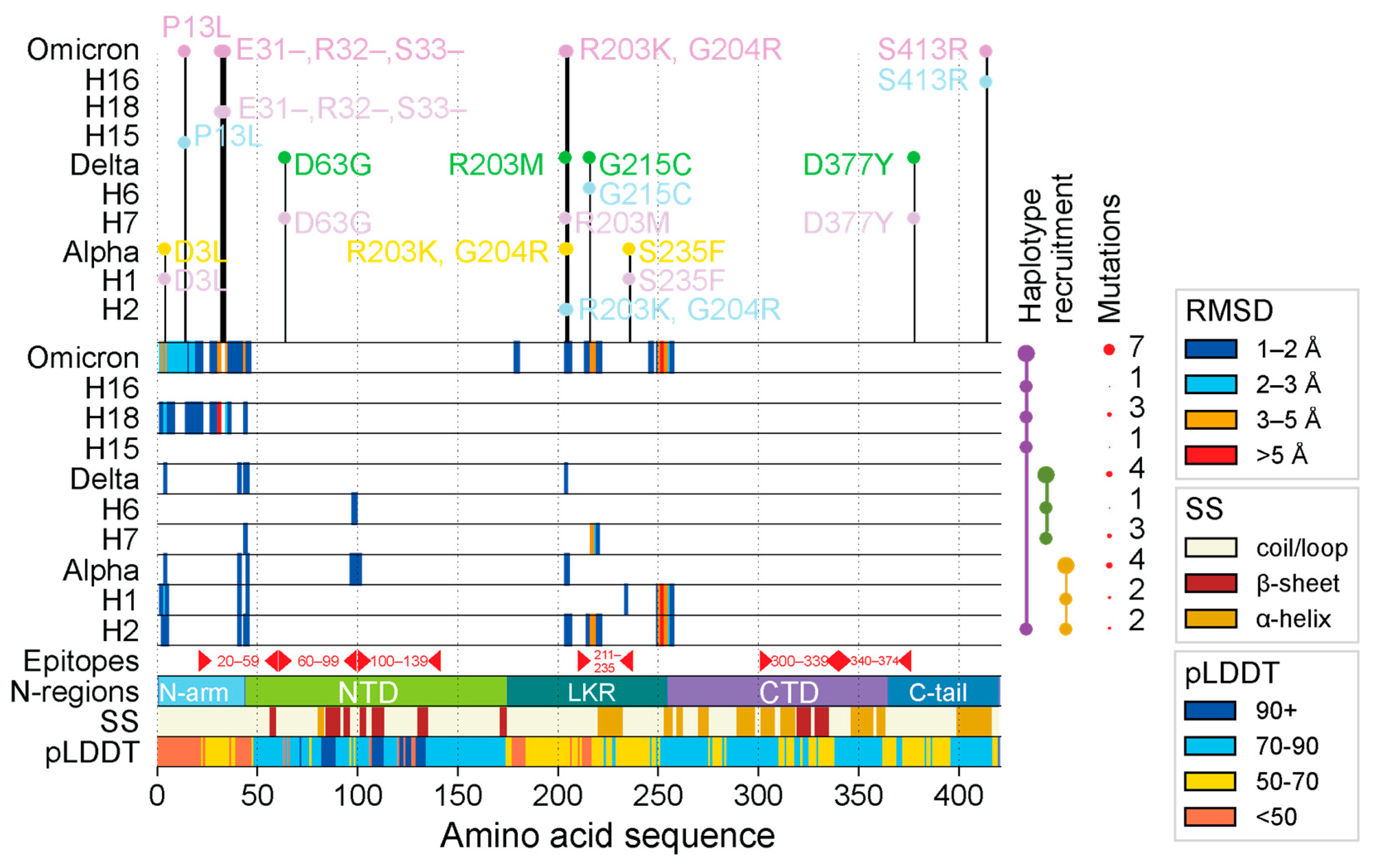 Viruses 16 01358 g001