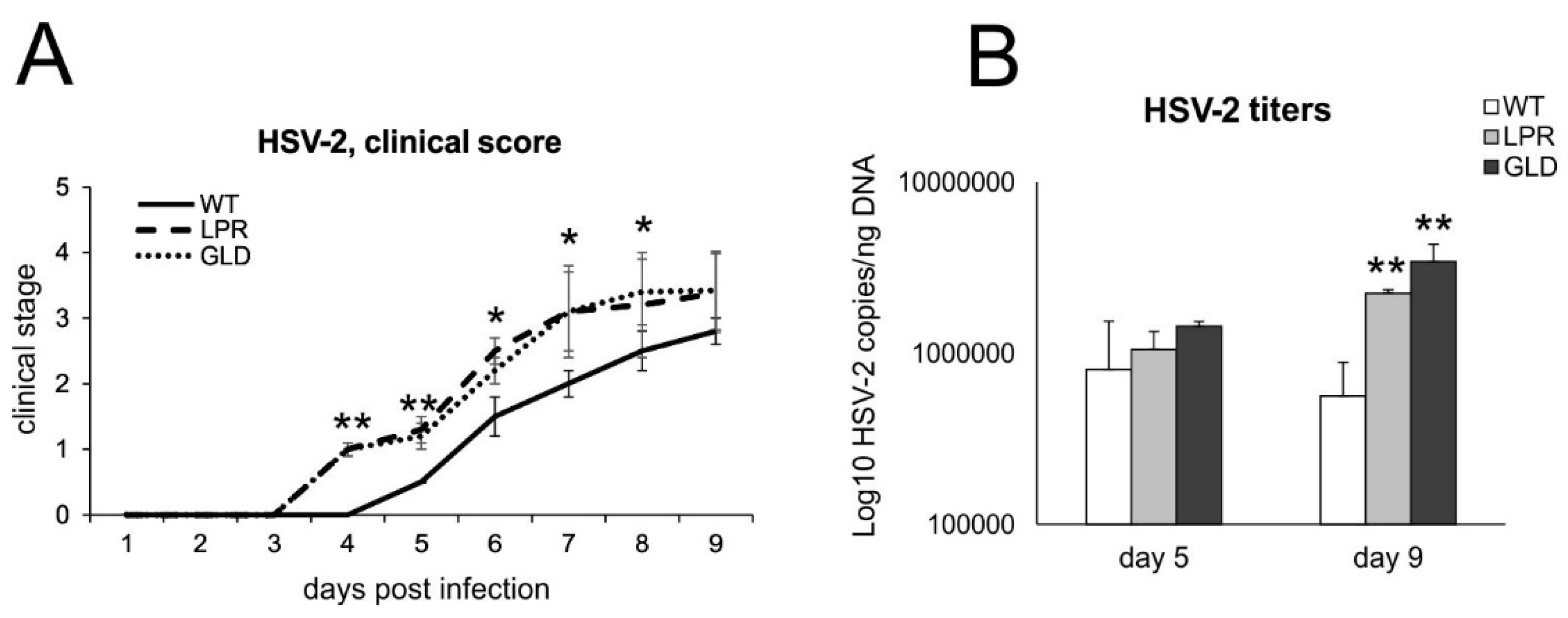 Viruses 16 01363 g002 Viruses 16 01363 g002