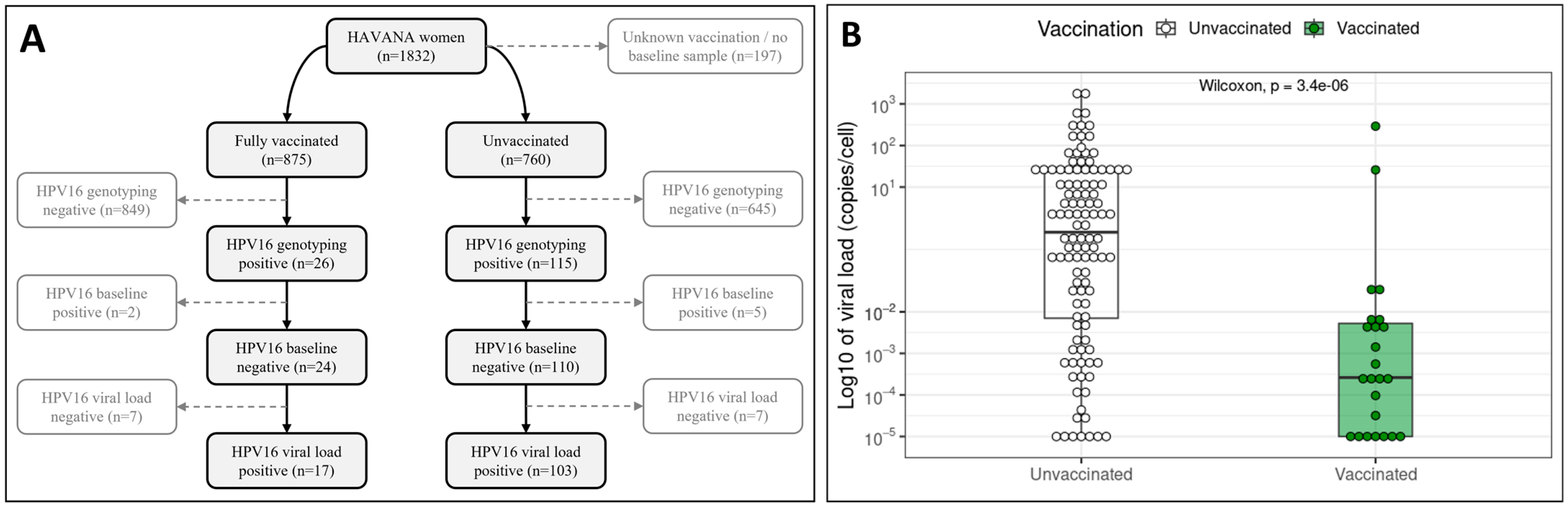 Viruses 16 01381 g001