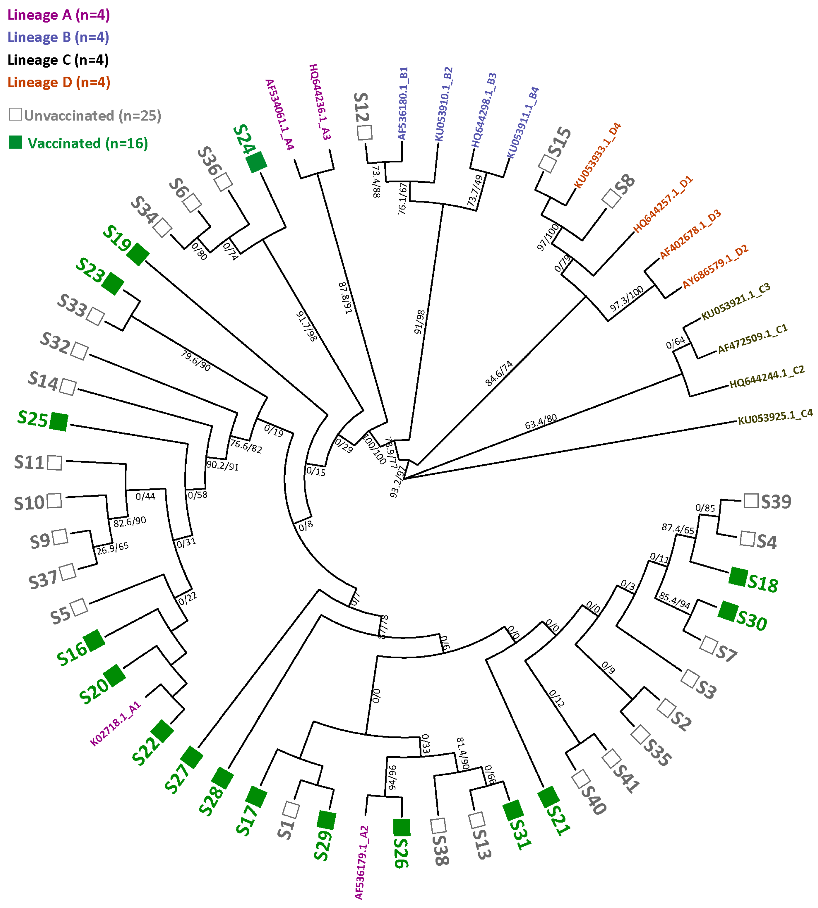 Viruses 16 01381 g003