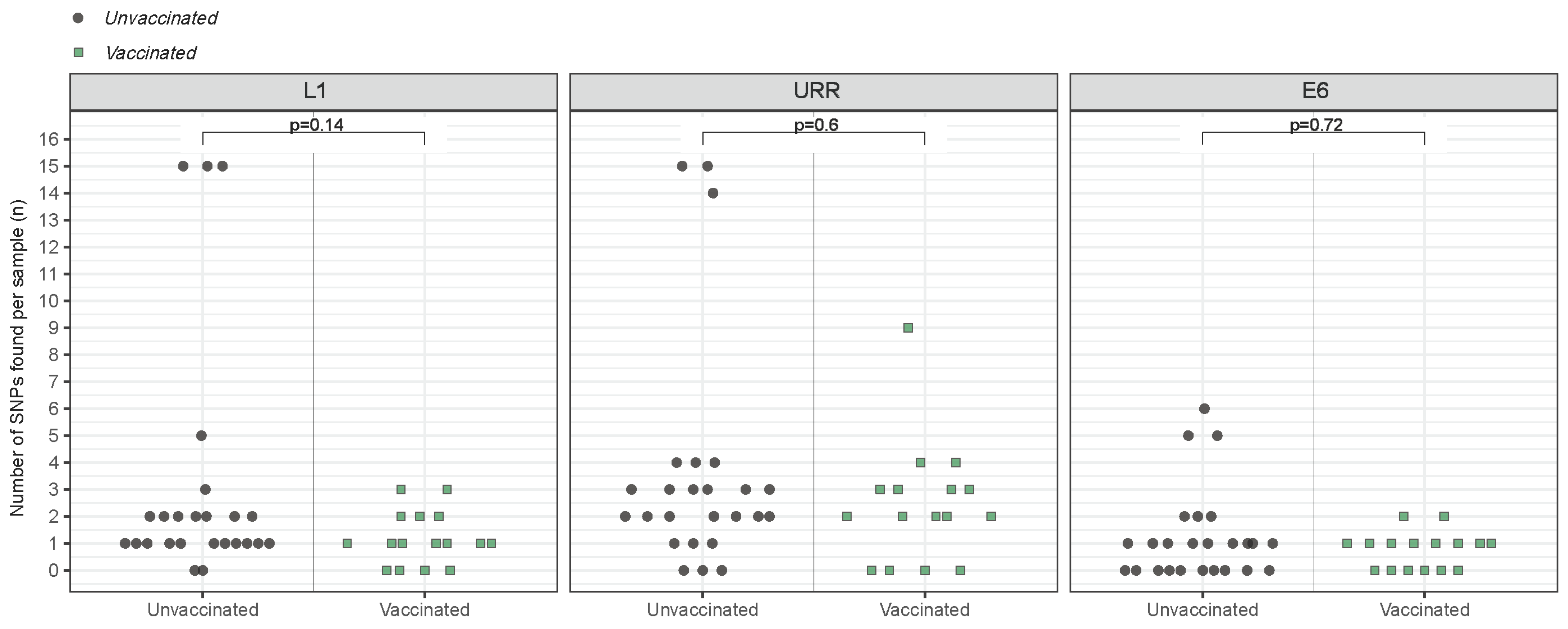 Viruses 16 01381 g004