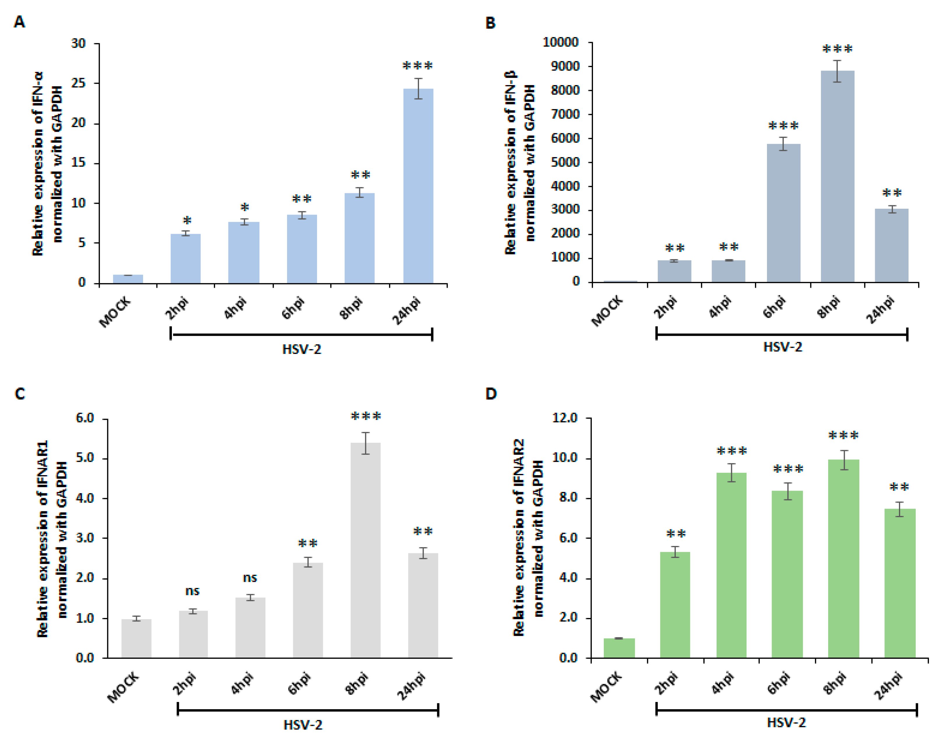 Viruses 16 01383 g001