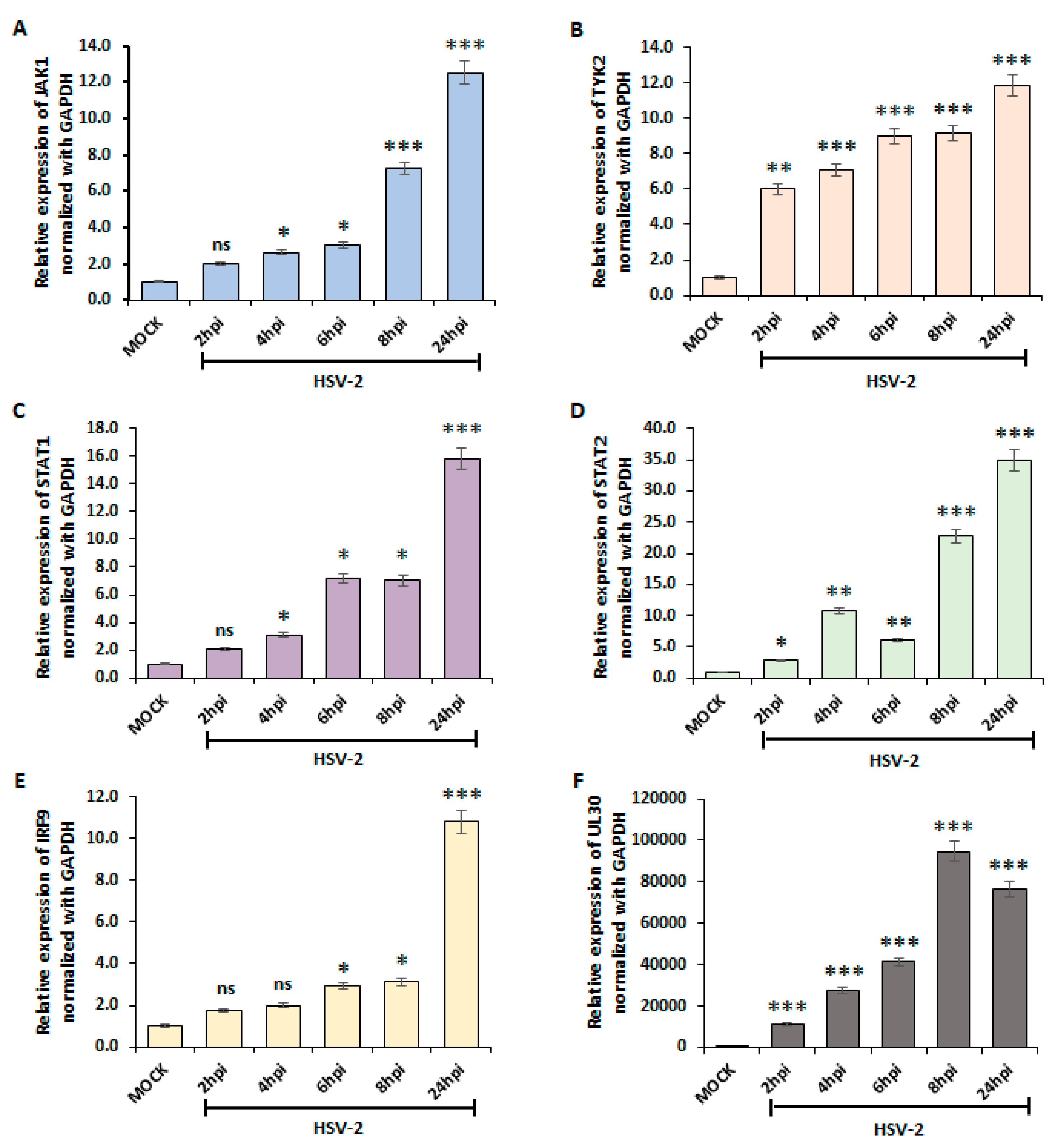 Viruses 16 01383 g003