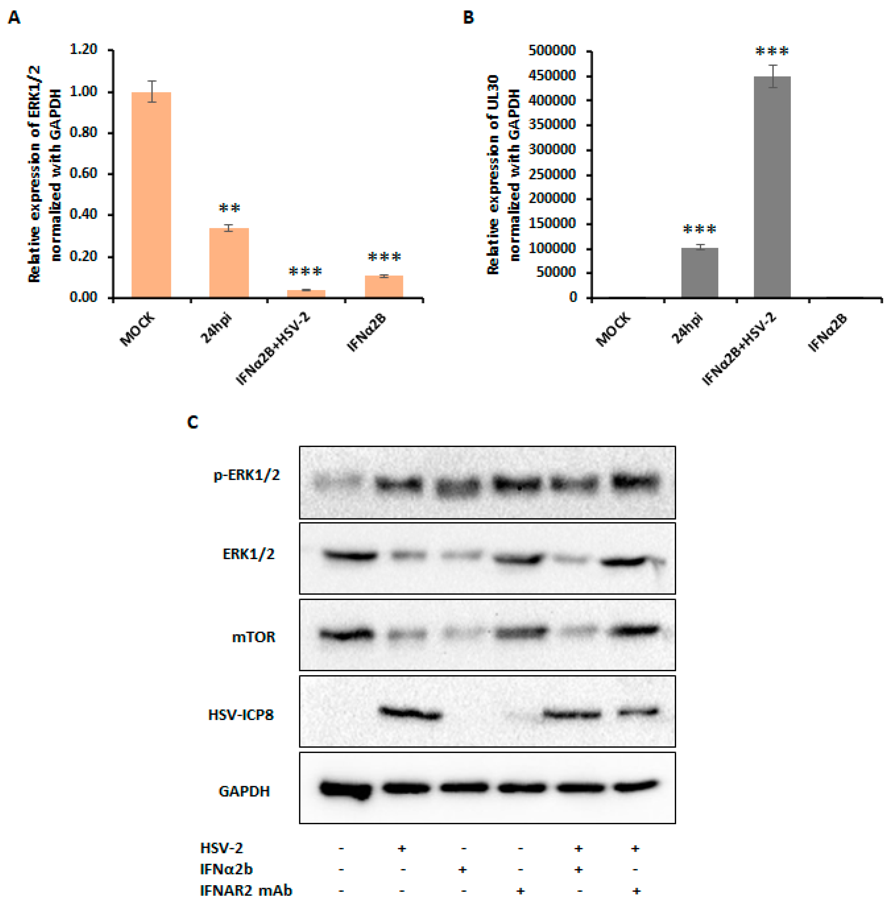 Viruses 16 01383 g008