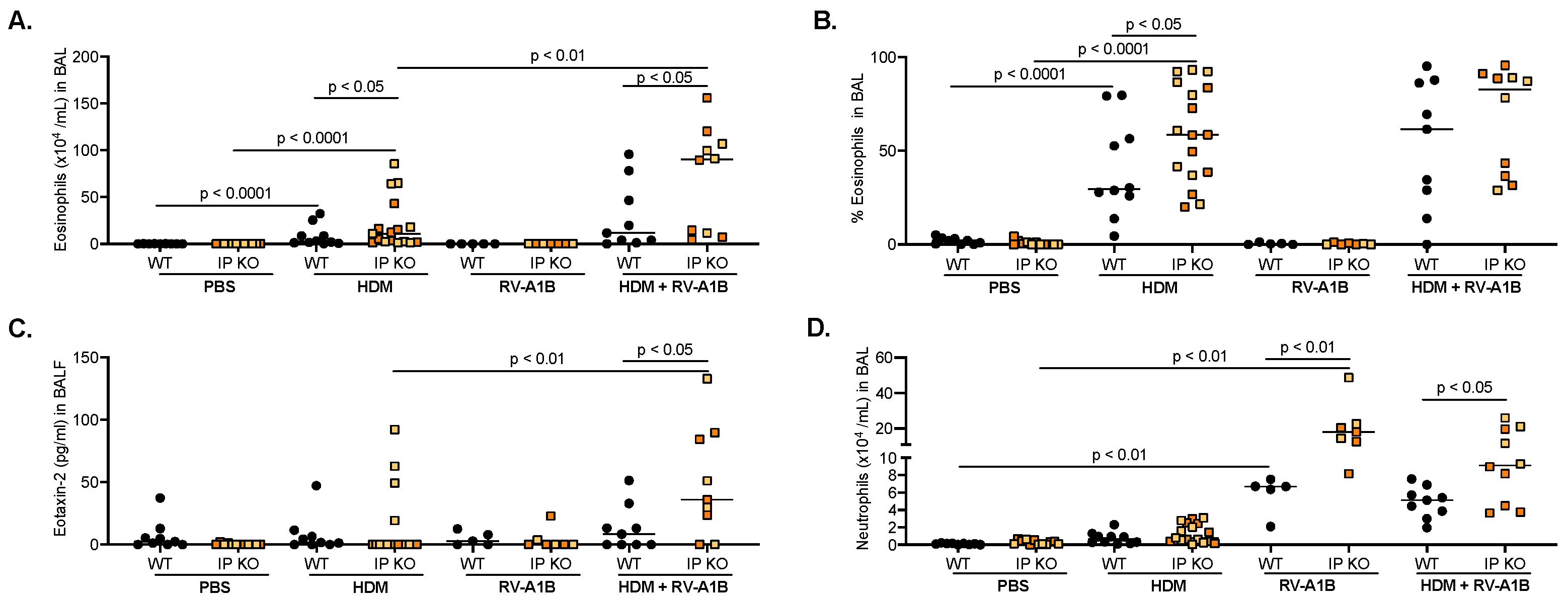 Viruses 16 01384 g001