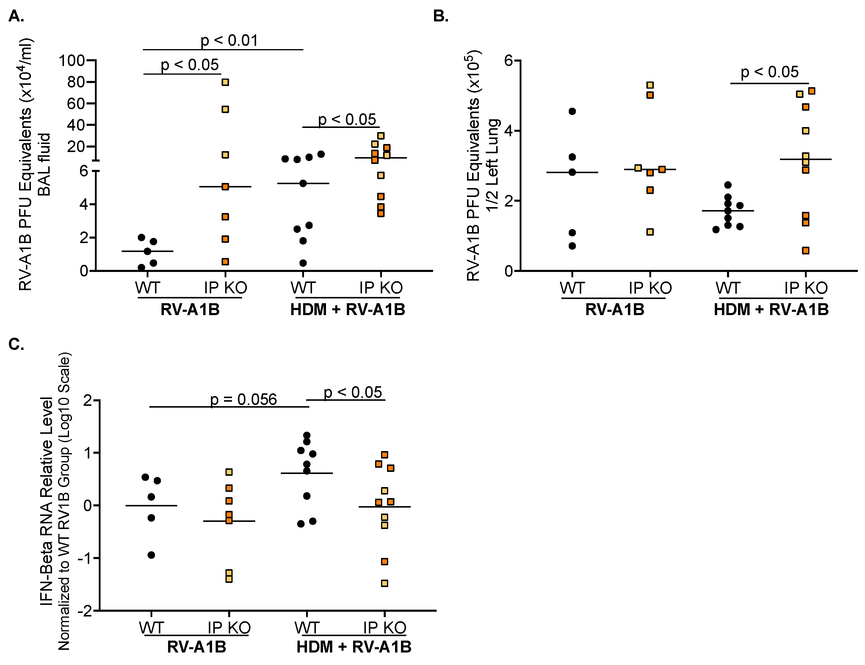 Viruses 16 01384 g002