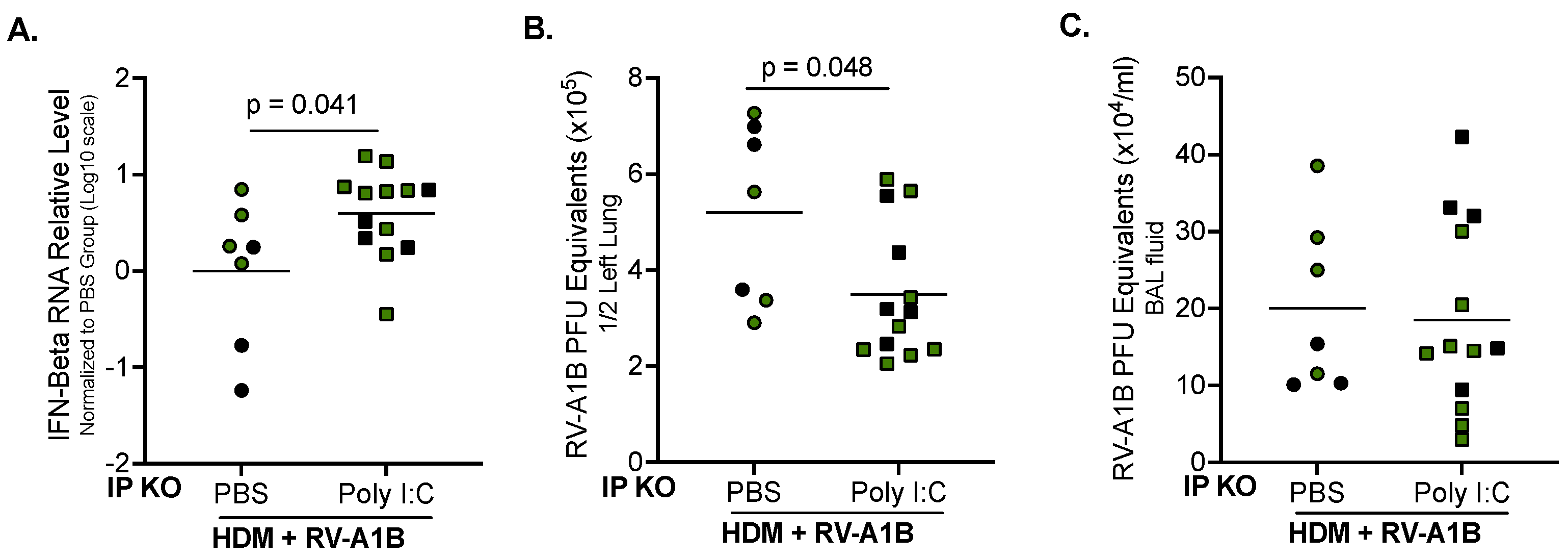 Viruses 16 01384 g003