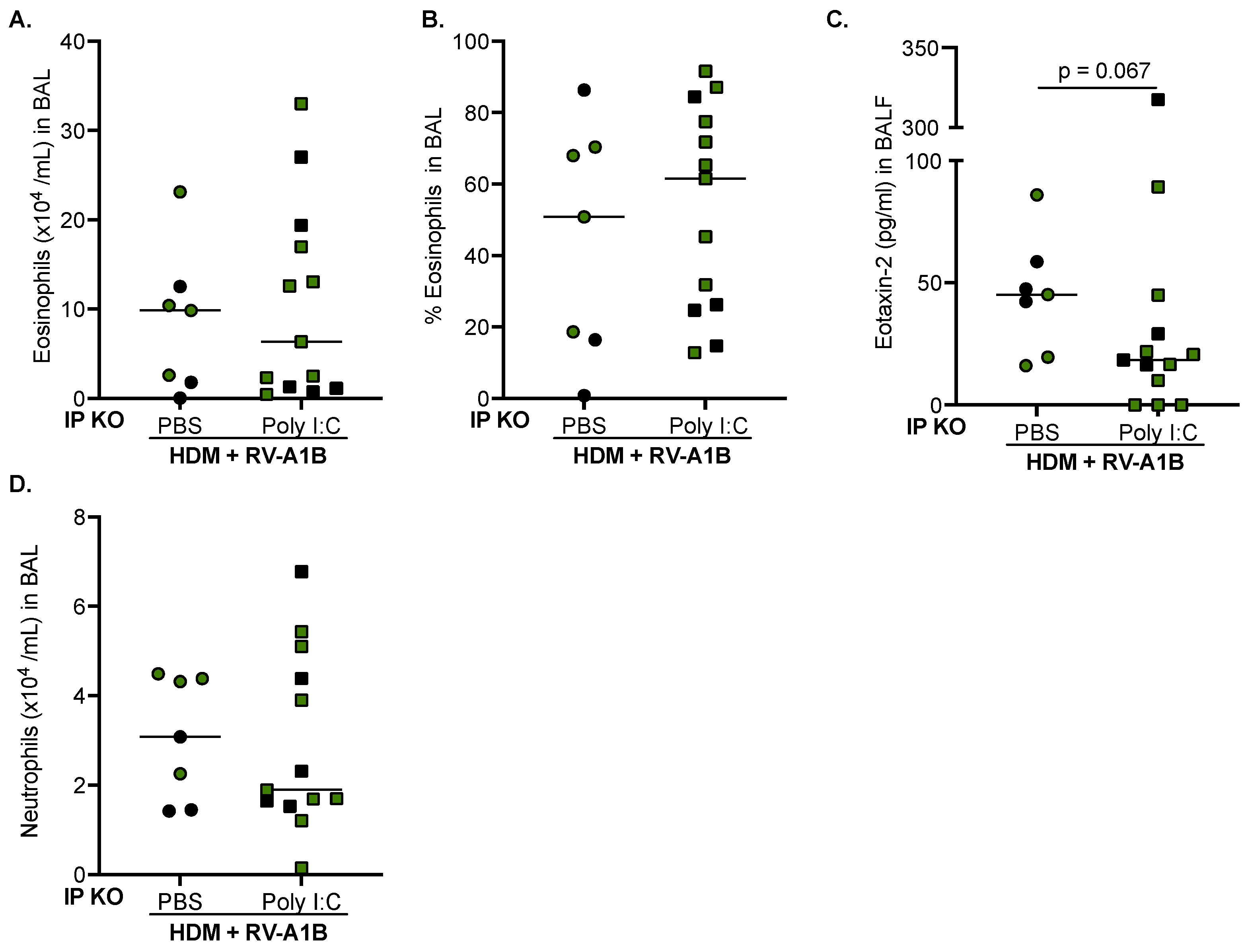 Viruses 16 01384 g004