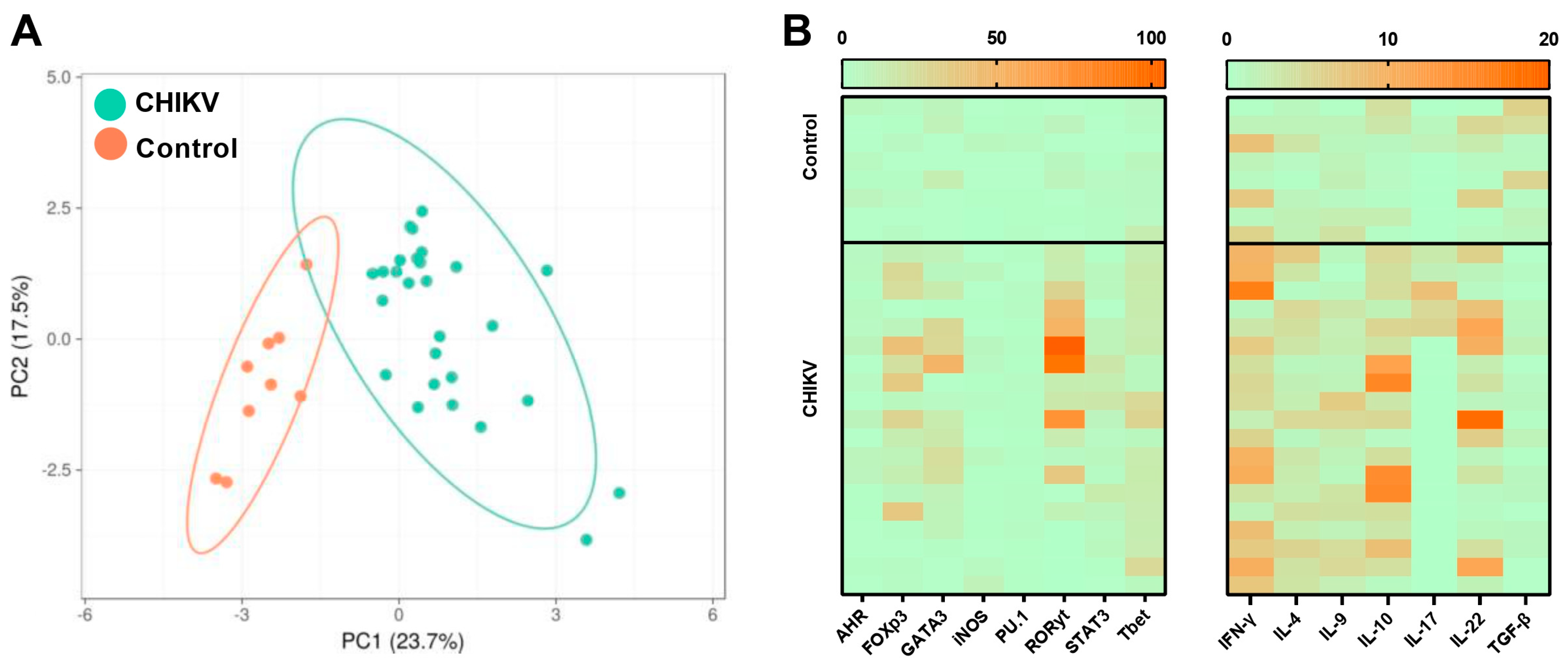 Viruses 16 01387 g004