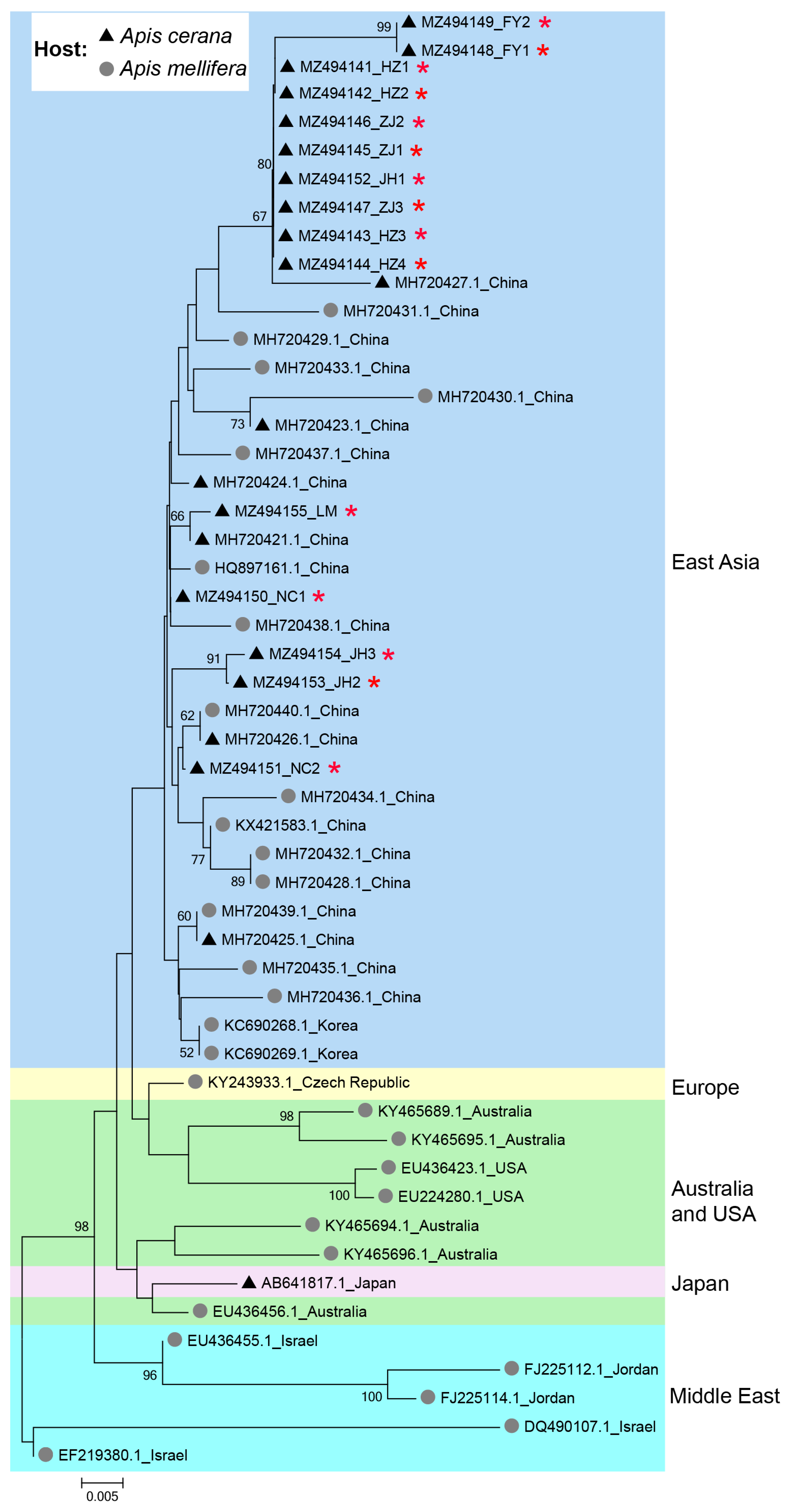 Viruses 16 01395 g003