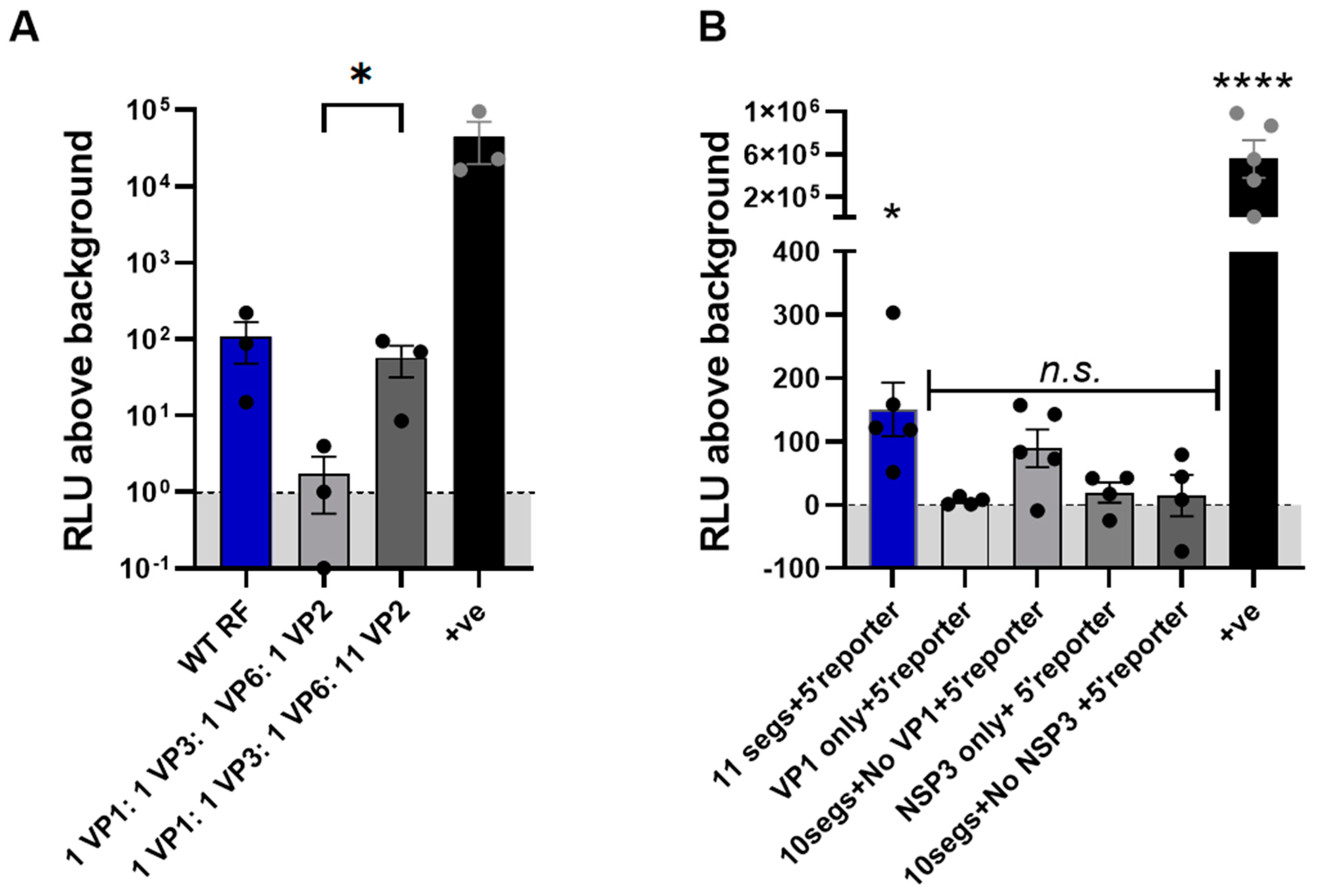 Viruses 16 01396 g004